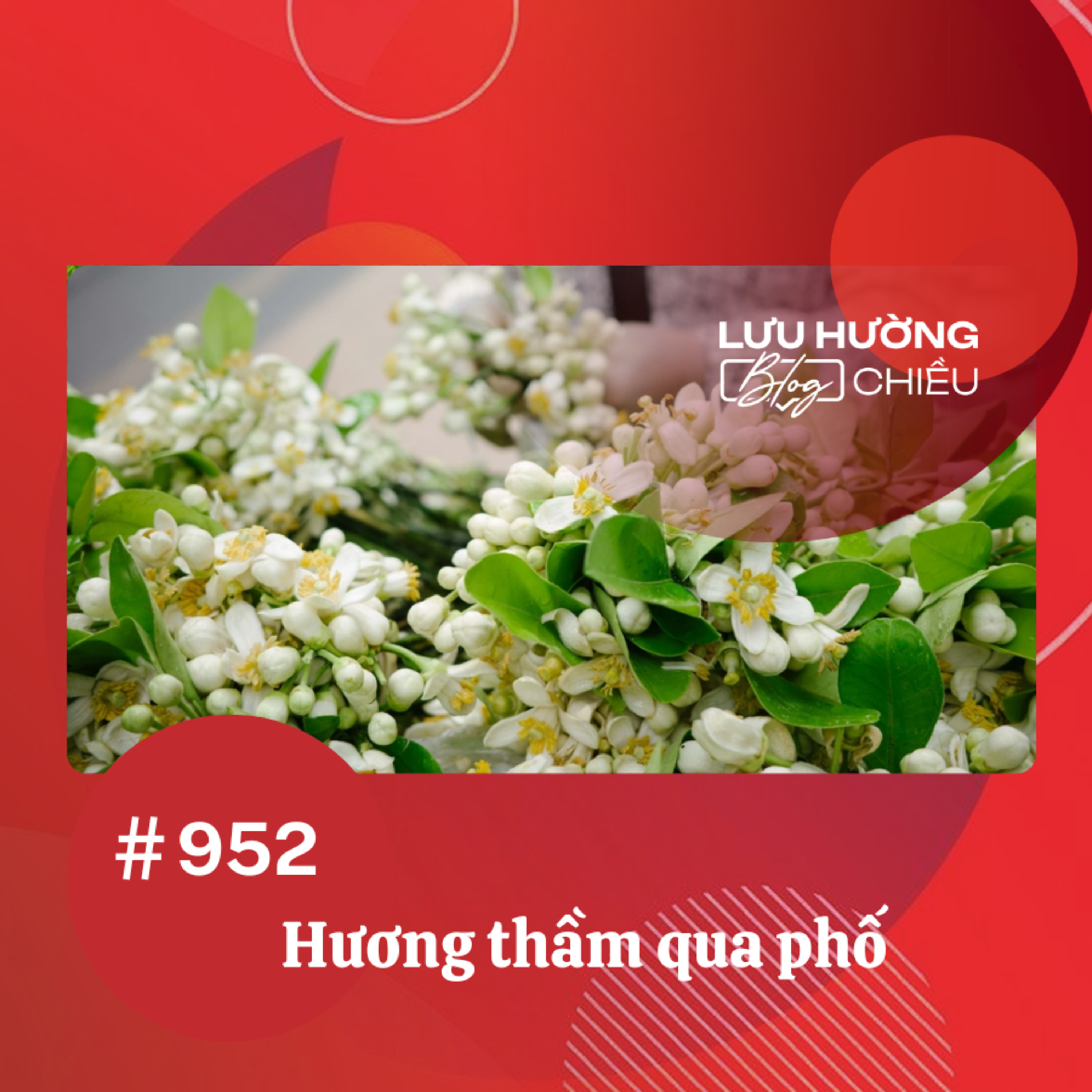 Hương thầm qua phố | Lưu Hường blog chiều | Đài Hà Nội