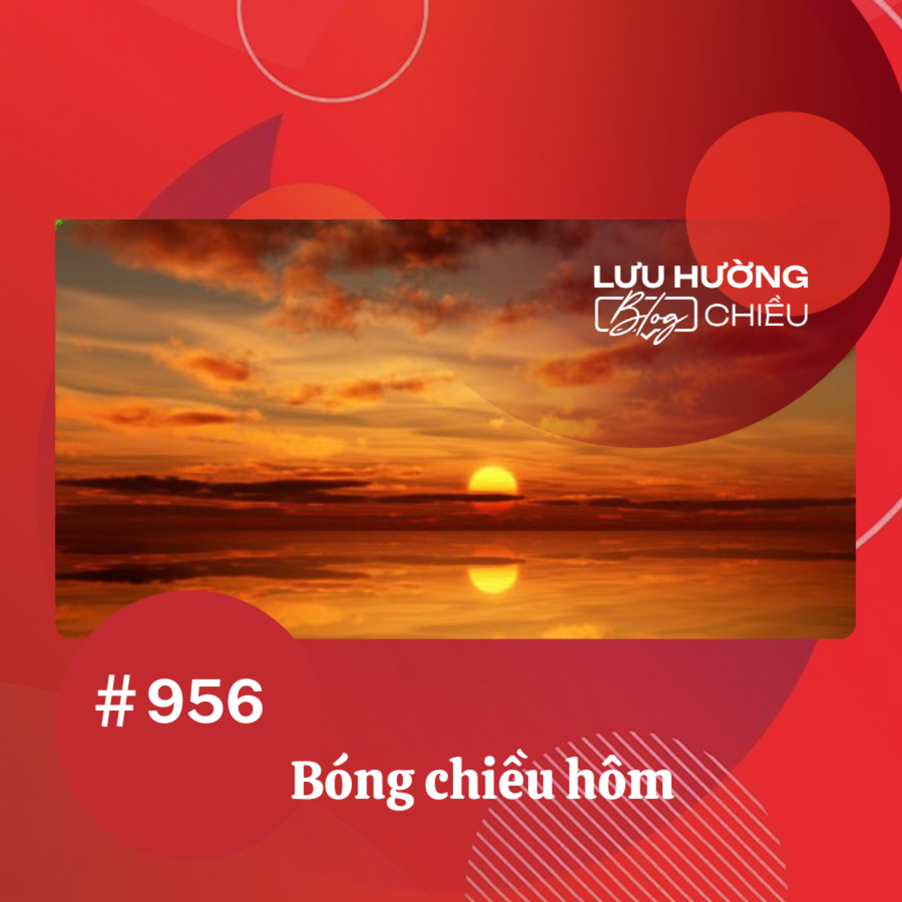 Bóng chiều hôm | Lưu Hường blog chiều | Đài Hà Nội