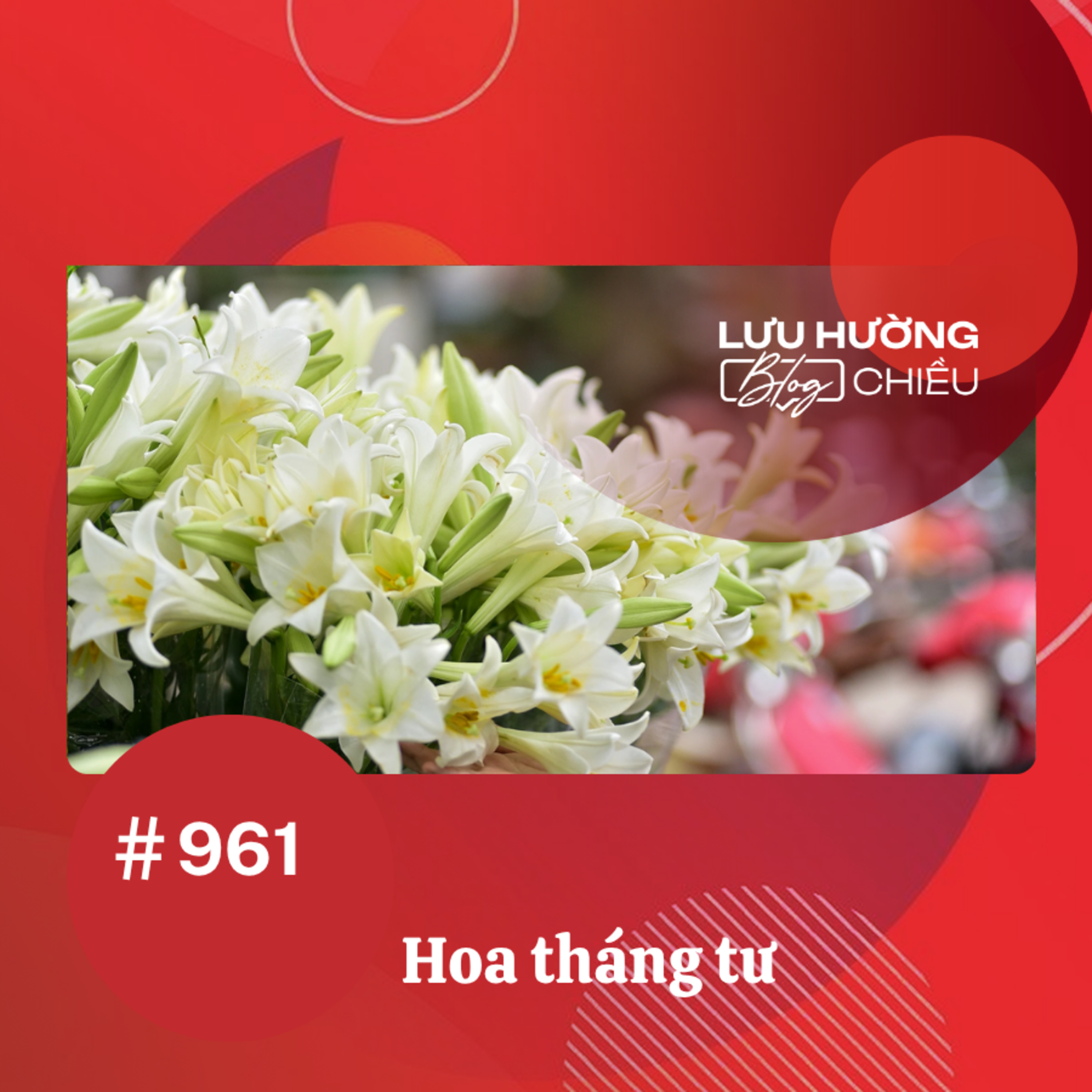  Hoa tháng tư | Lưu Hường blog chiều | Đài Hà Nội episode artwork