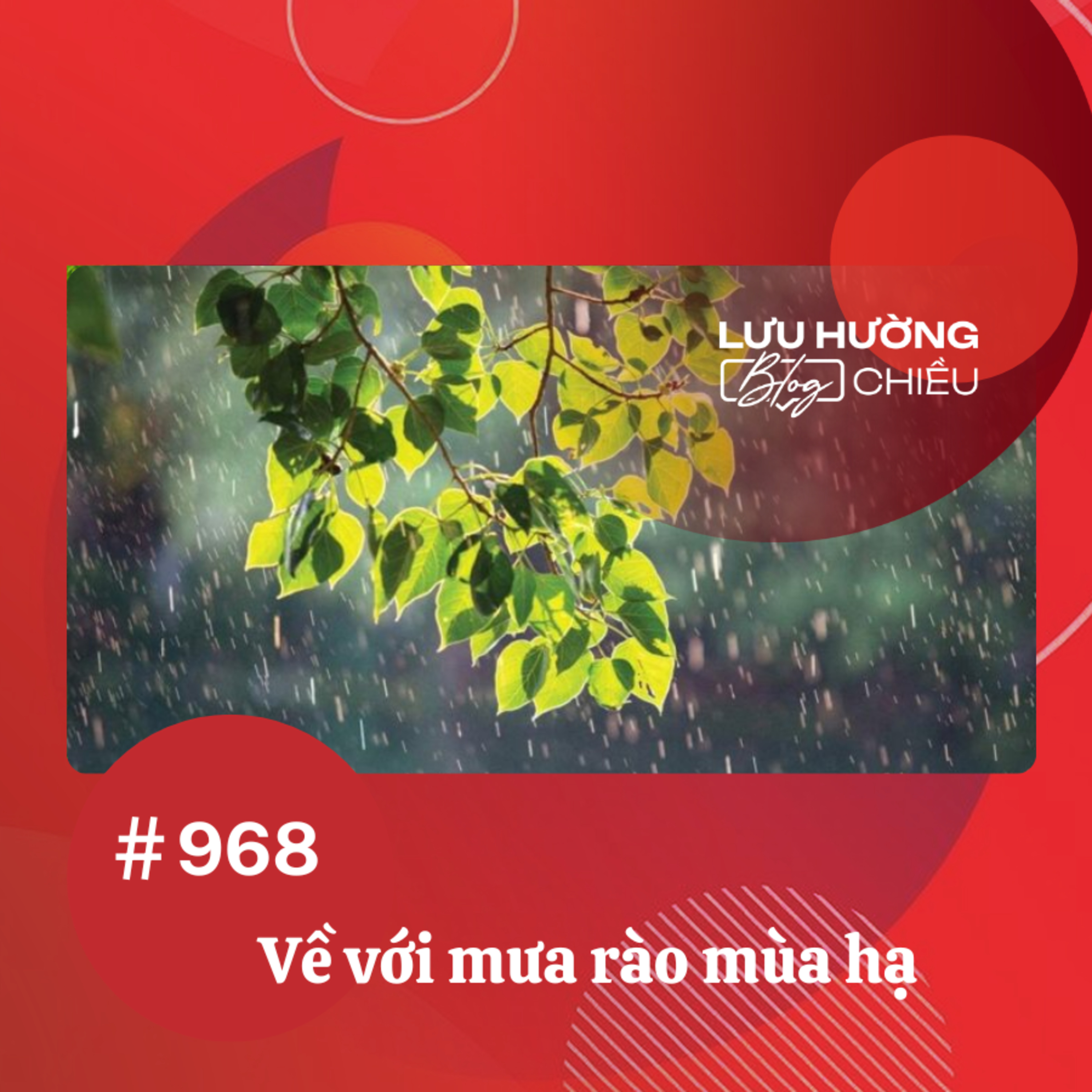 Về với mưa rào mùa hạ | Lưu Hường blog chiều | Đài Hà Nội