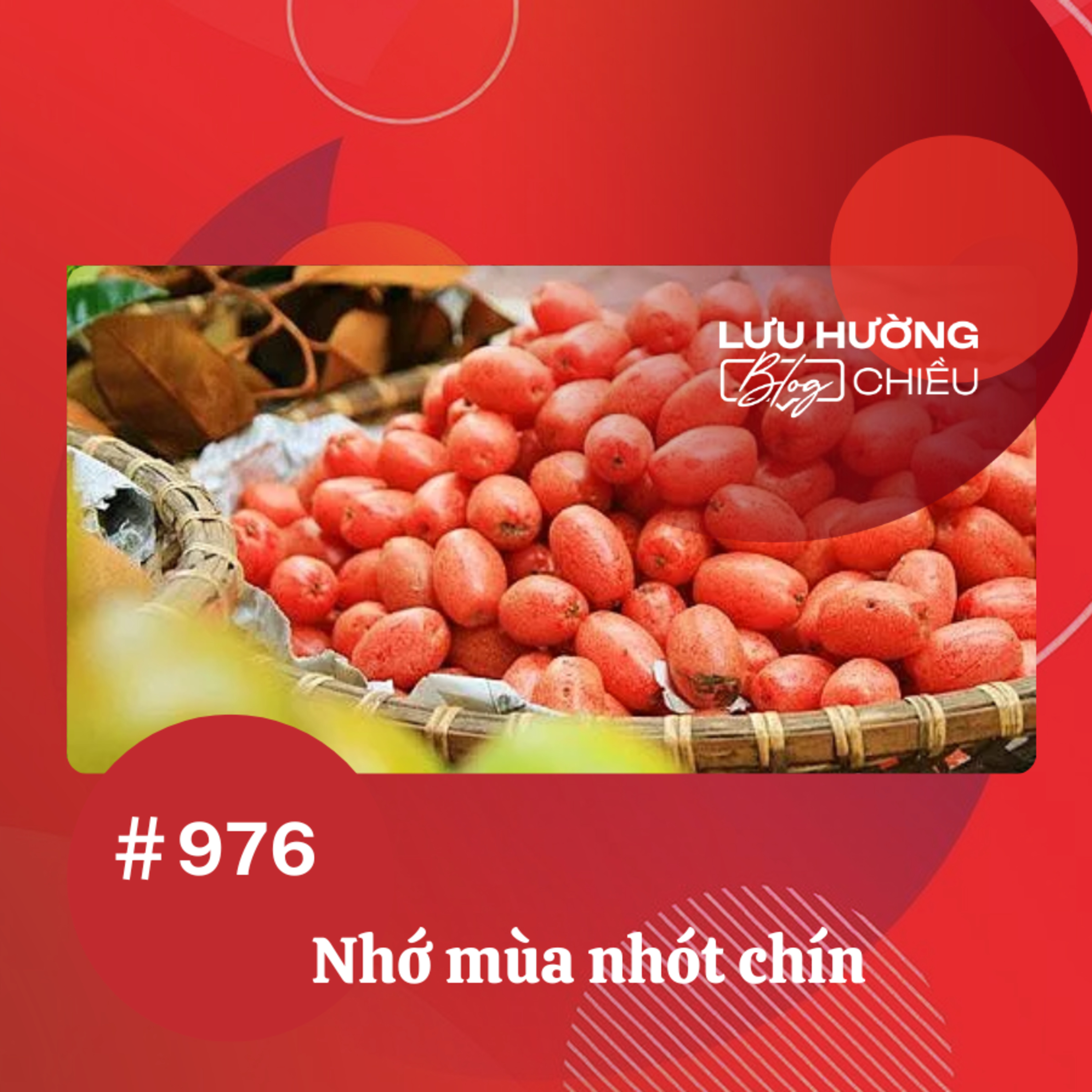 Nhớ mùa nhót chín | Lưu Hường blog chiều | Đài Hà Nội