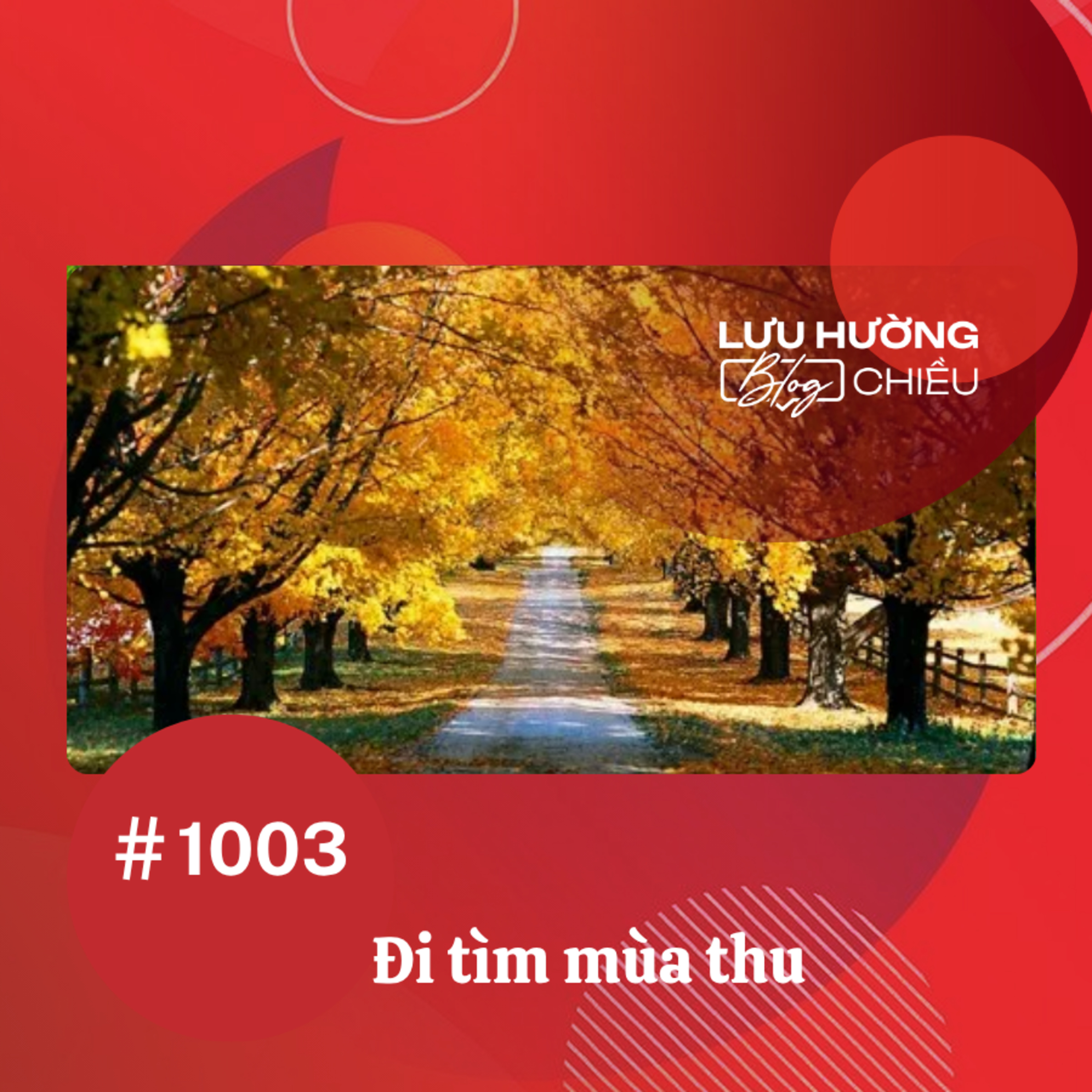 Đi tìm mùa thu | Lưu Hường blog chiều | Đài Hà Nội