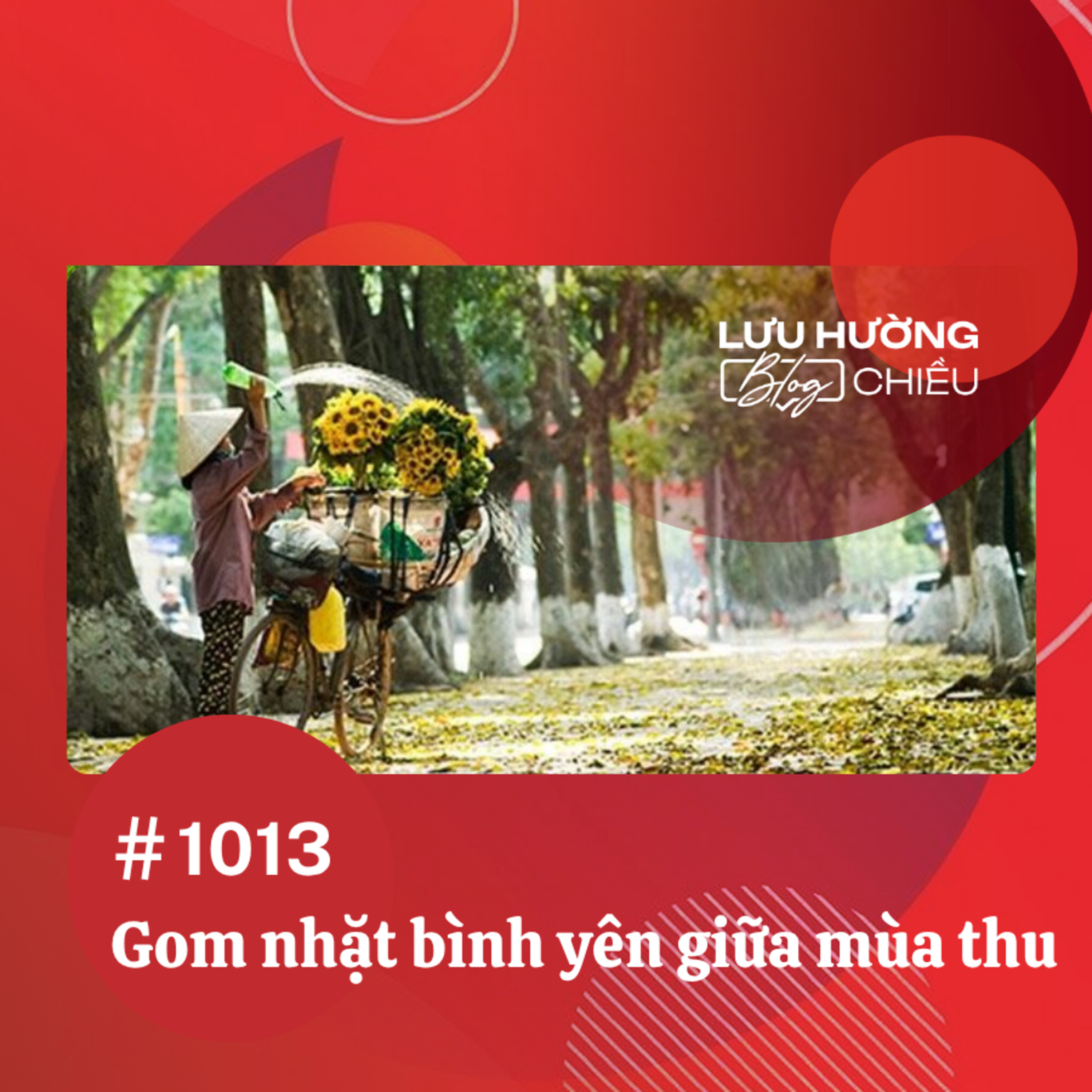 Gom nhặt bình yên giữa mùa thu | Lưu Hường blog chiều | Đài Hà Nội