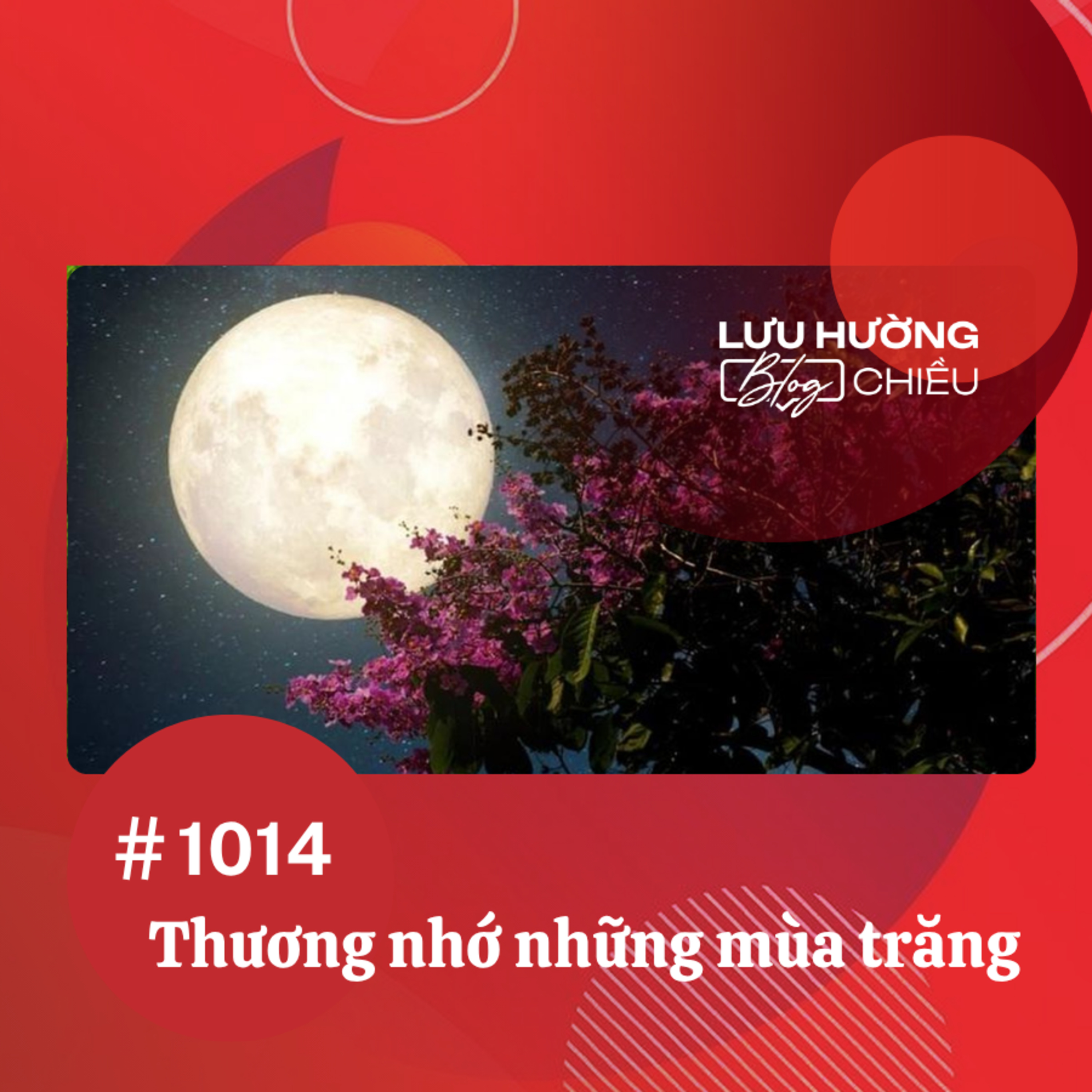 Thương nhớ những mùa trăng | Lưu Hường blog chiều | Đài Hà Nội