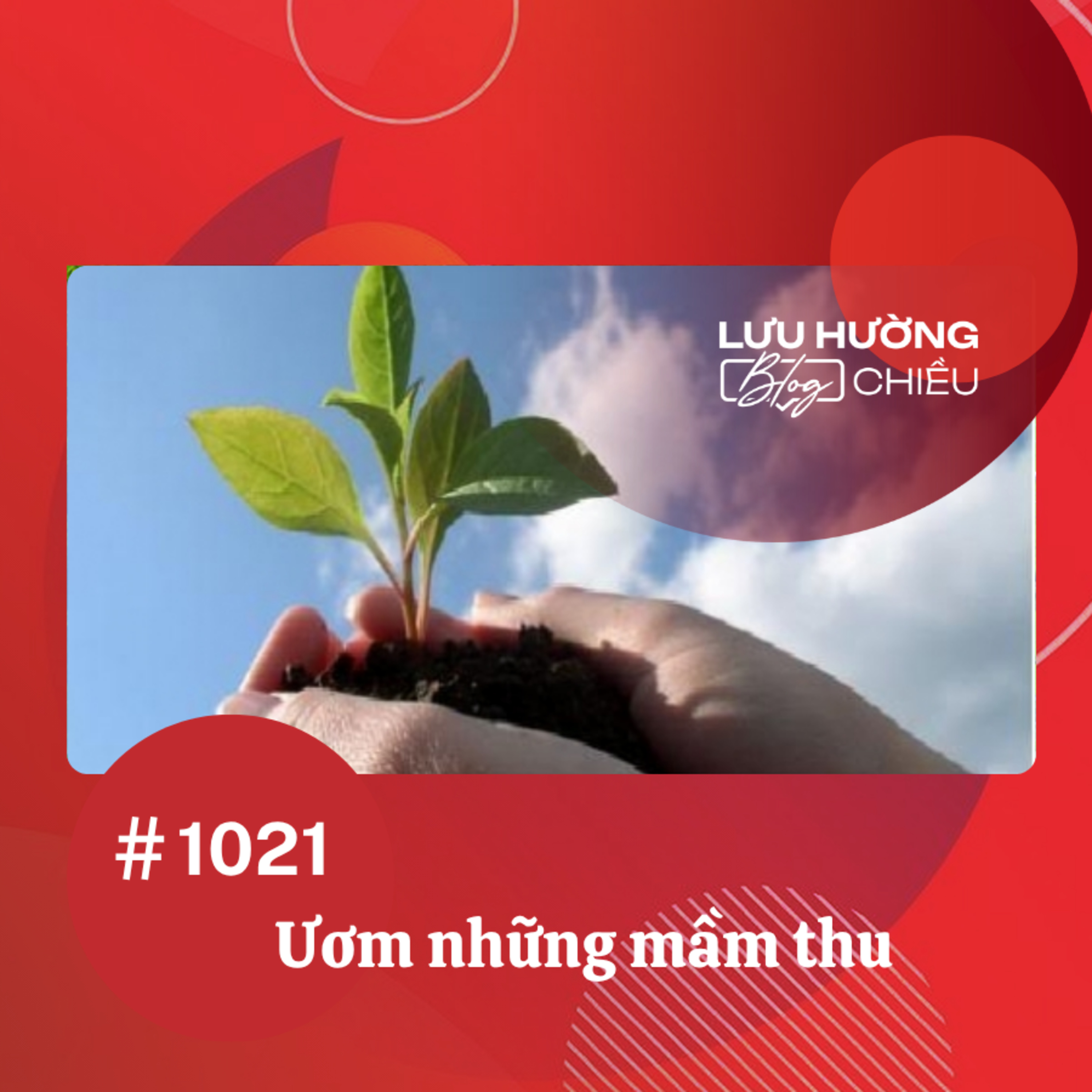 Đài Hà Nội | Lưu Hường Blog chiều | Podcast