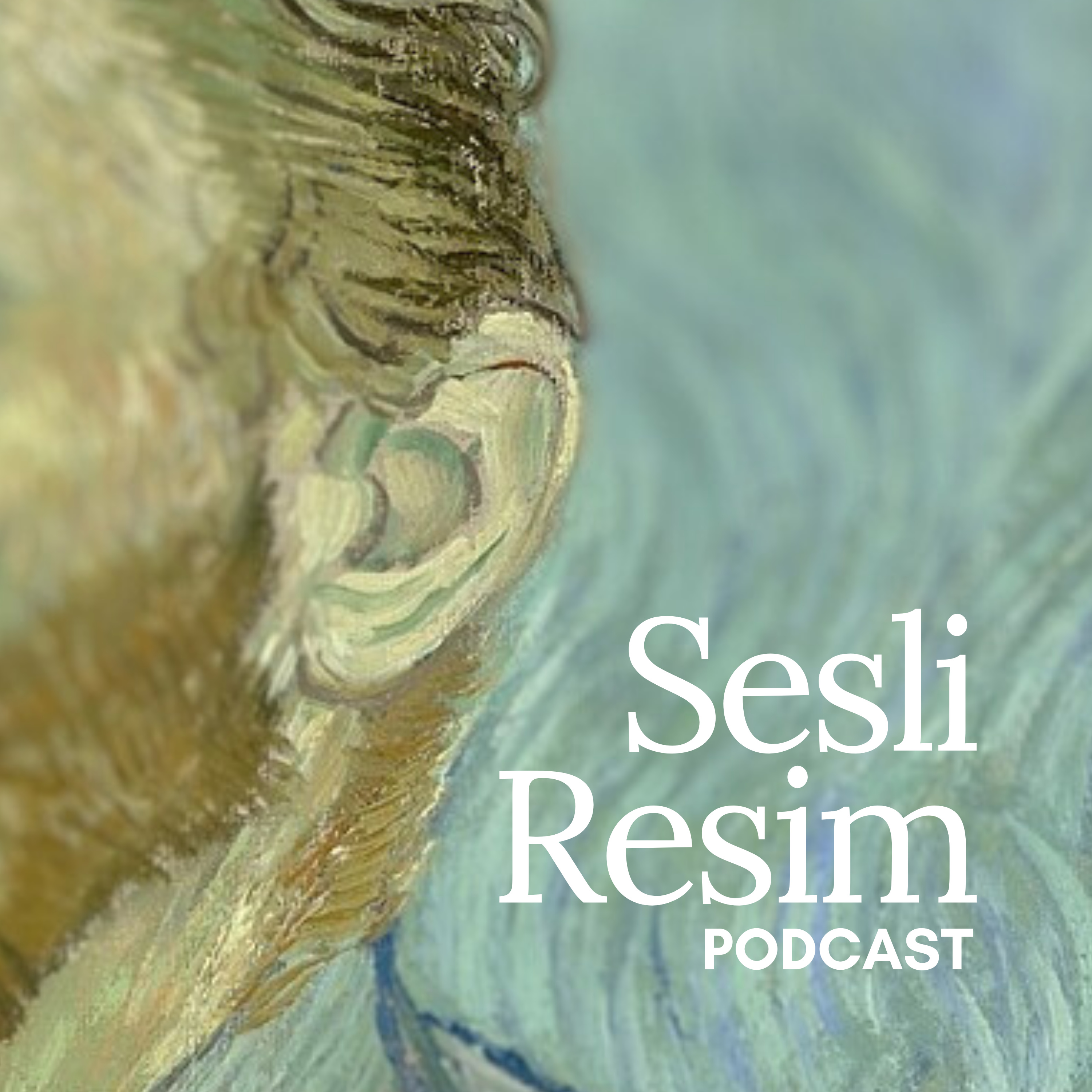 Sesli Resim