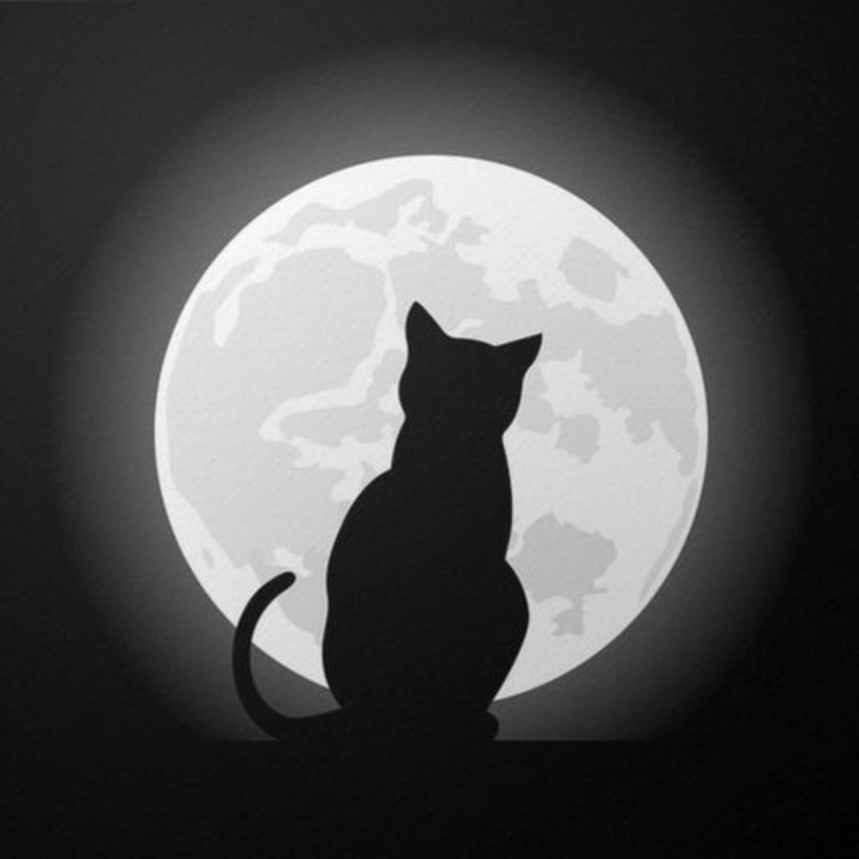 El Gato que deseaba ser Amado - Audiocuento