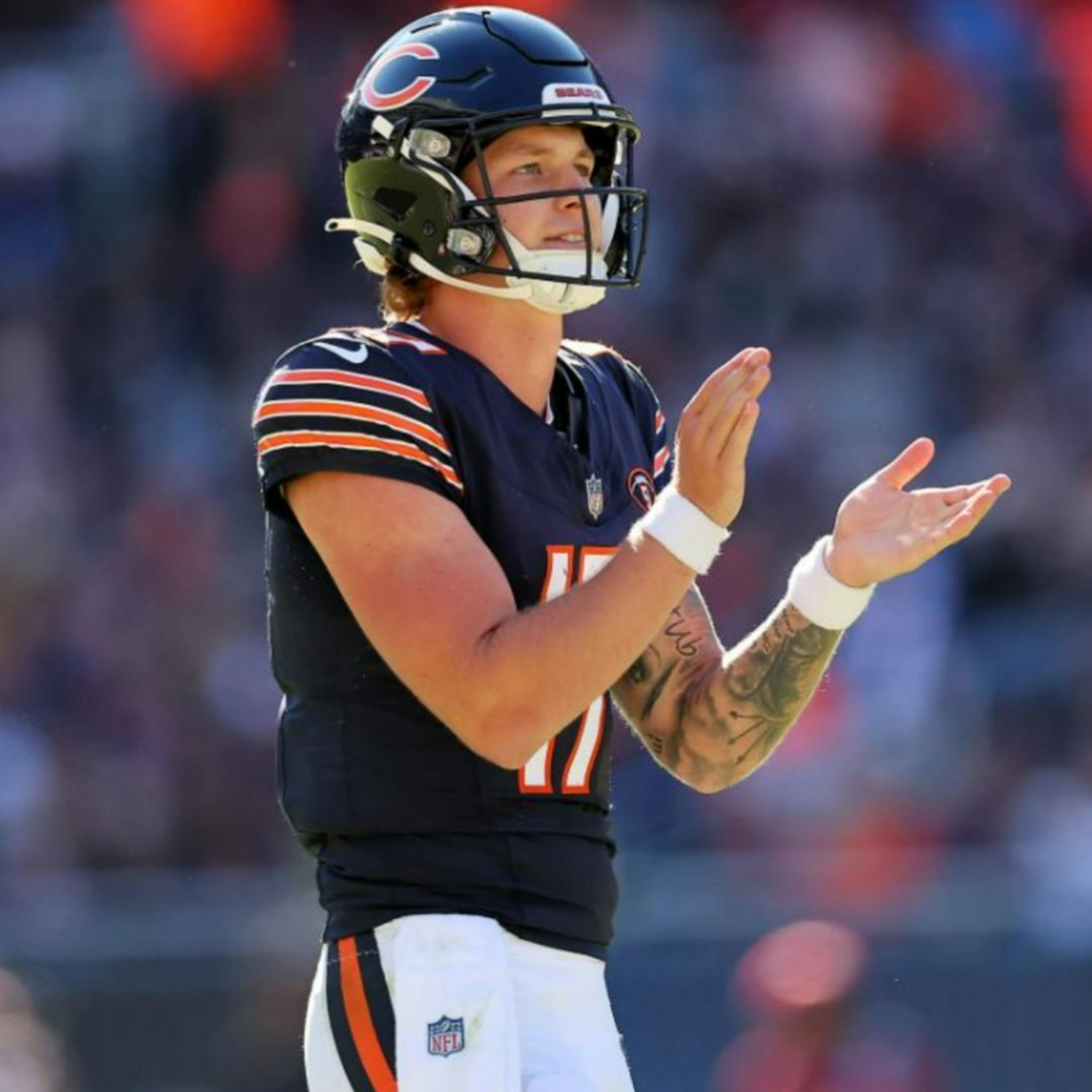 The Bear Necessities Podcast
