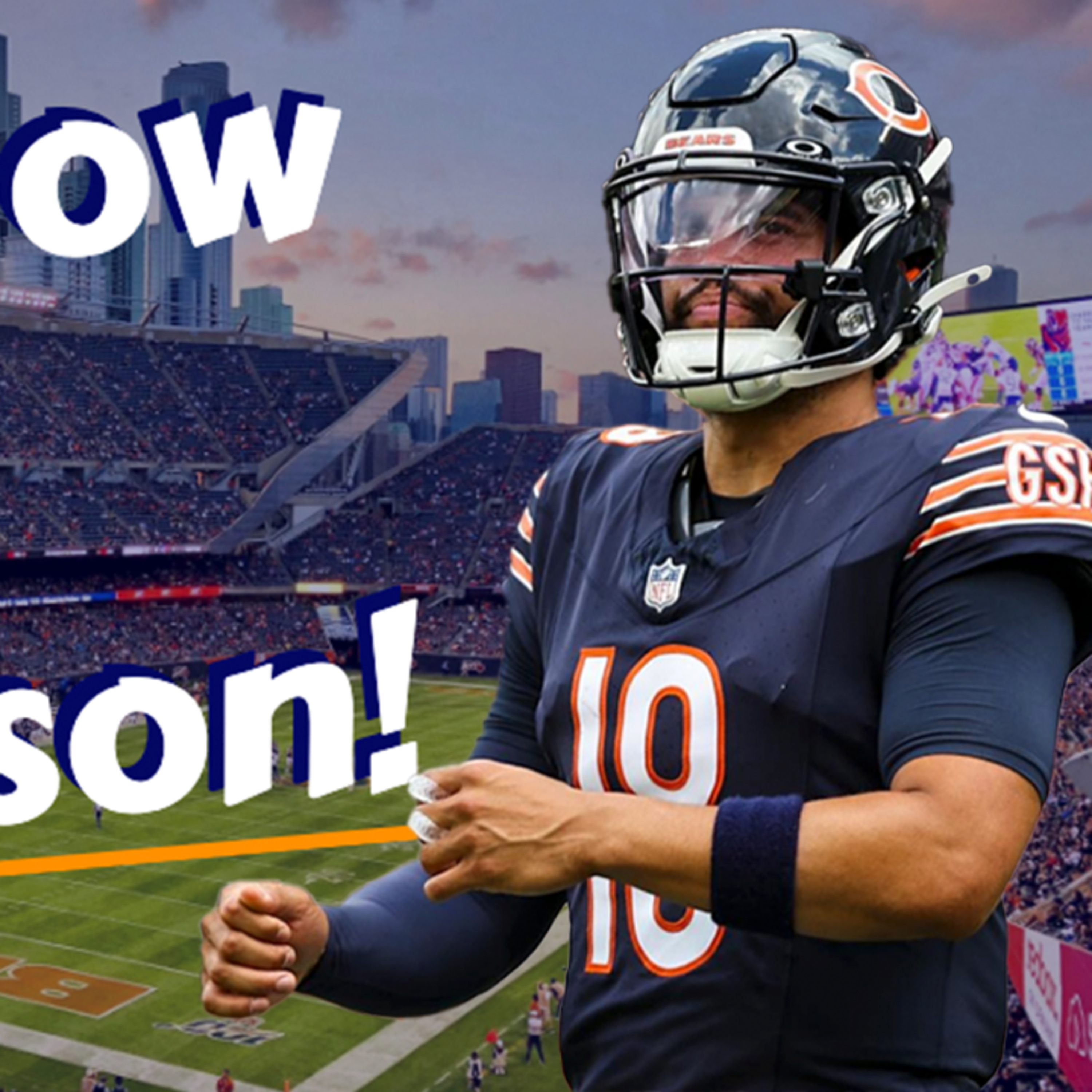 The Bear Necessities Podcast