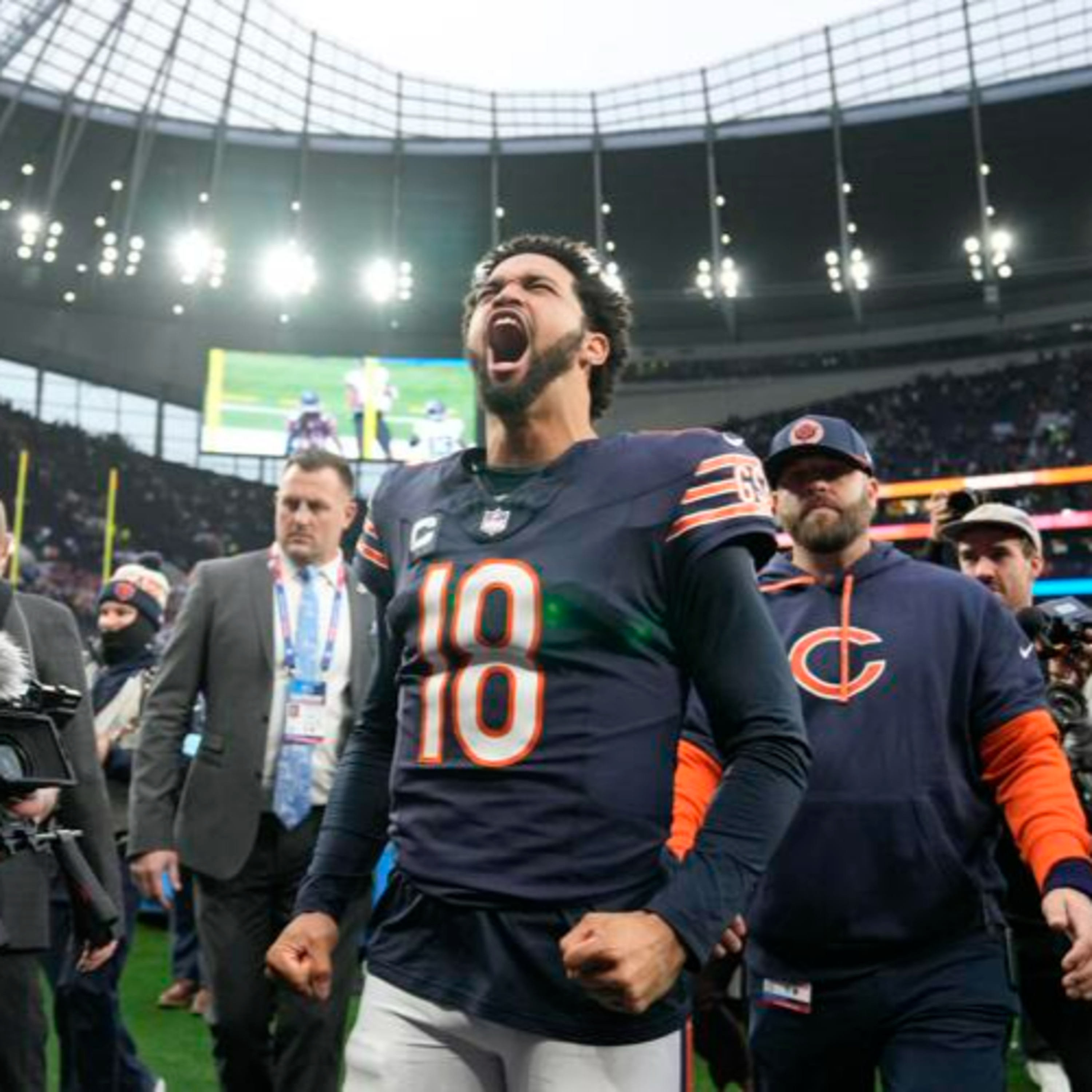 The Bear Necessities Podcast