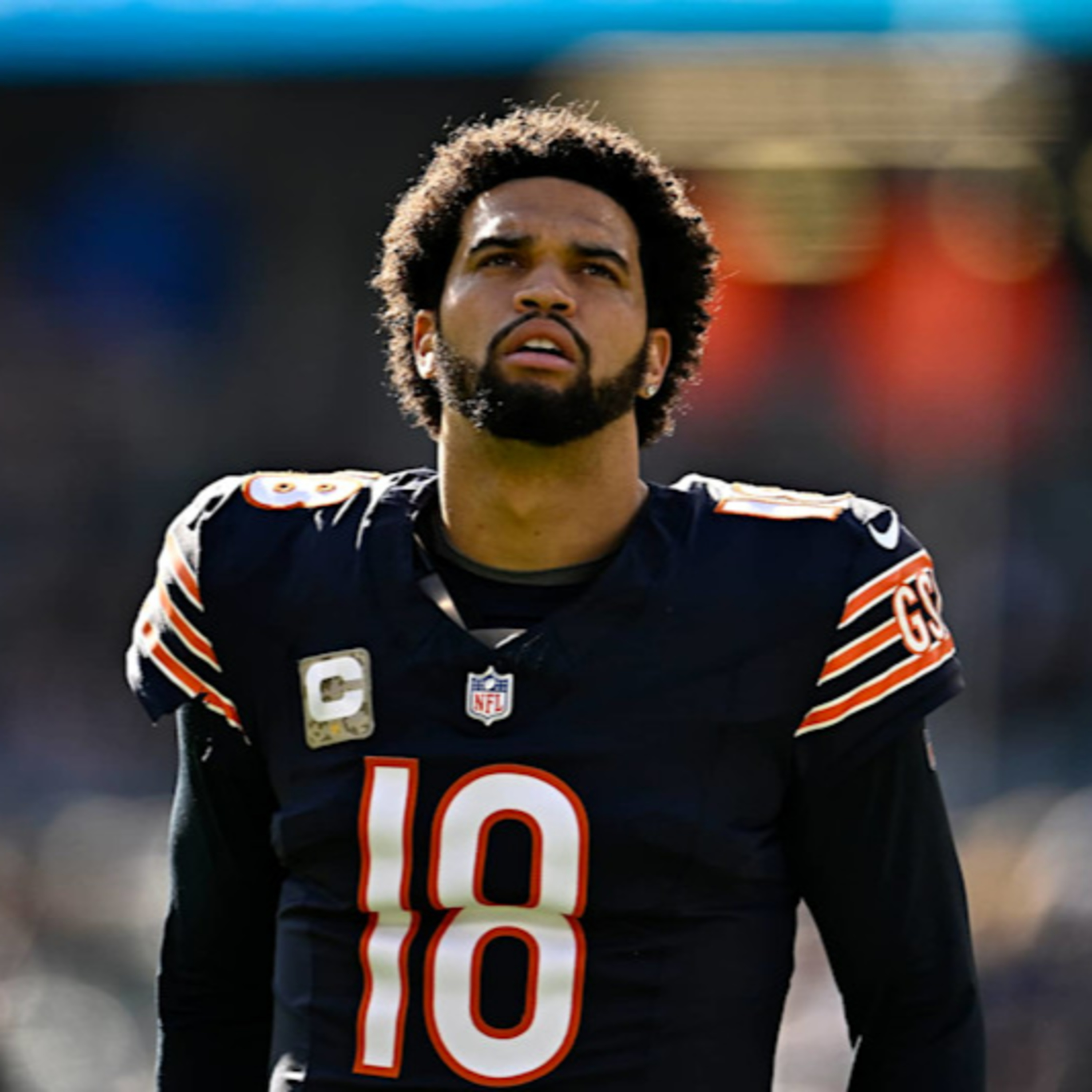 The Bear Necessities Podcast