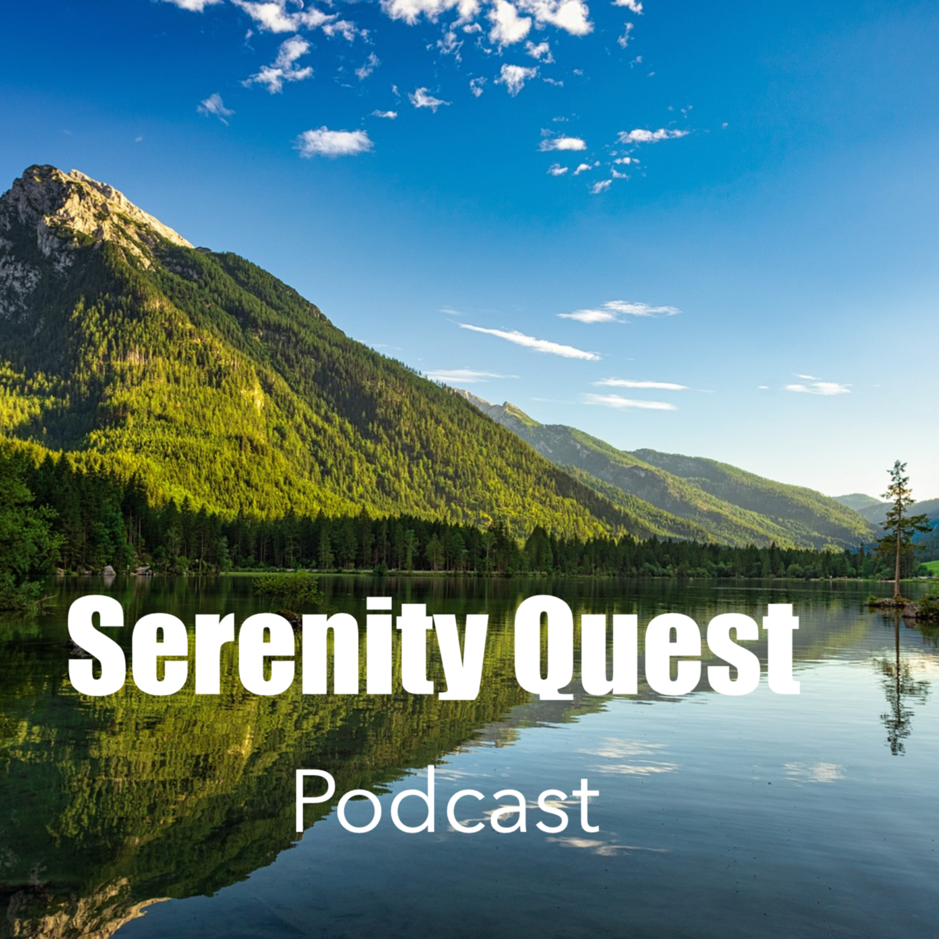 1 Hour of Relaxing Forest sounds with Music  episode artwork