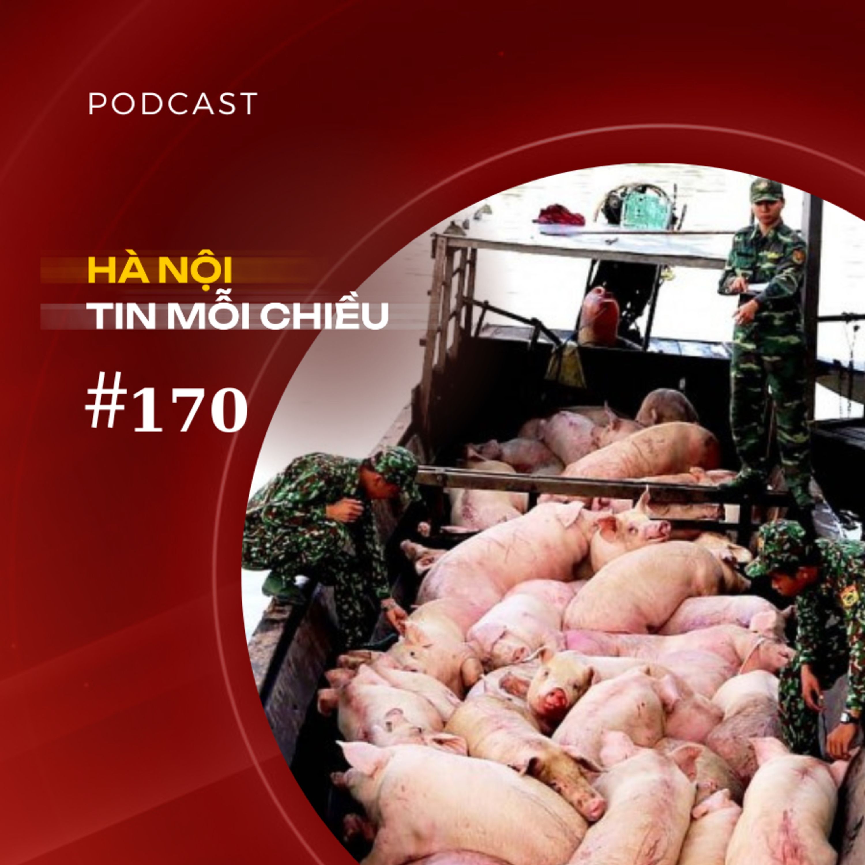 Nhập lậu lợn ồ ạt vào Việt Nam, người chăn nuôi kêu cứu | Hà Nội tin mỗi chiều episode artwork