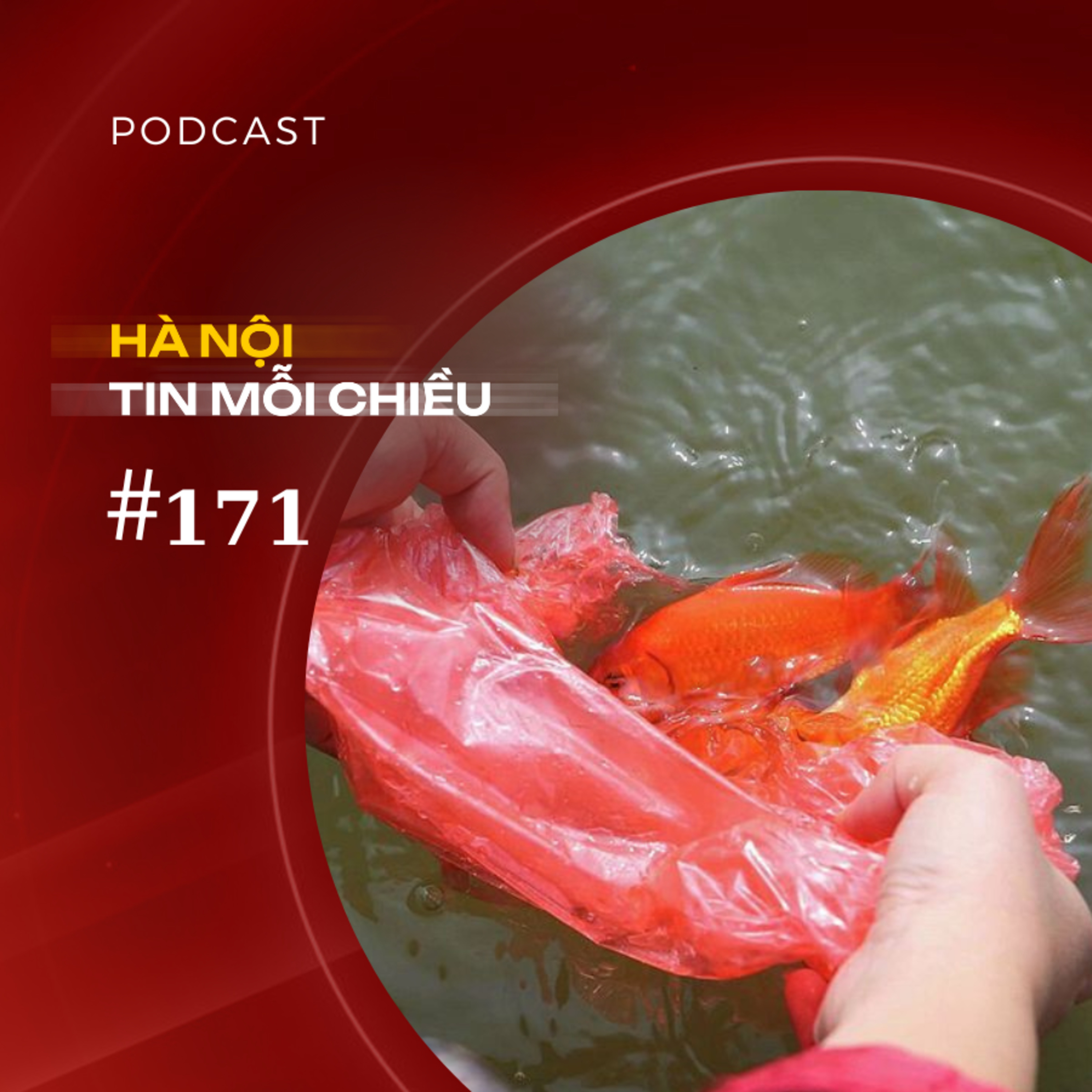 Đừng để cá chép xuống sông, nilon xuống phố | Hà Nội tin mỗi chiều episode artwork
