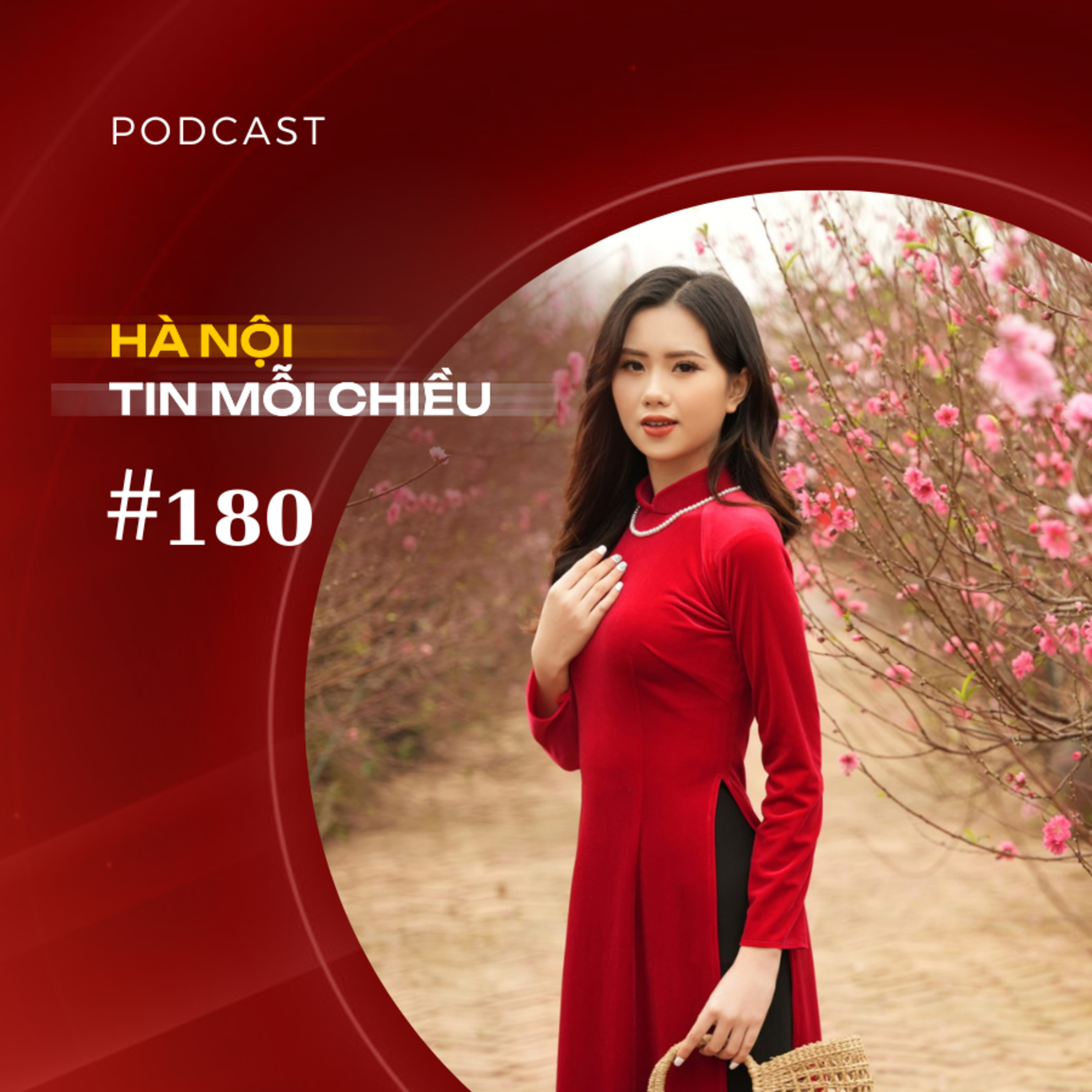 Nét đẹp áo dài du xuân | Hà Nội tin mỗi chiều episode artwork