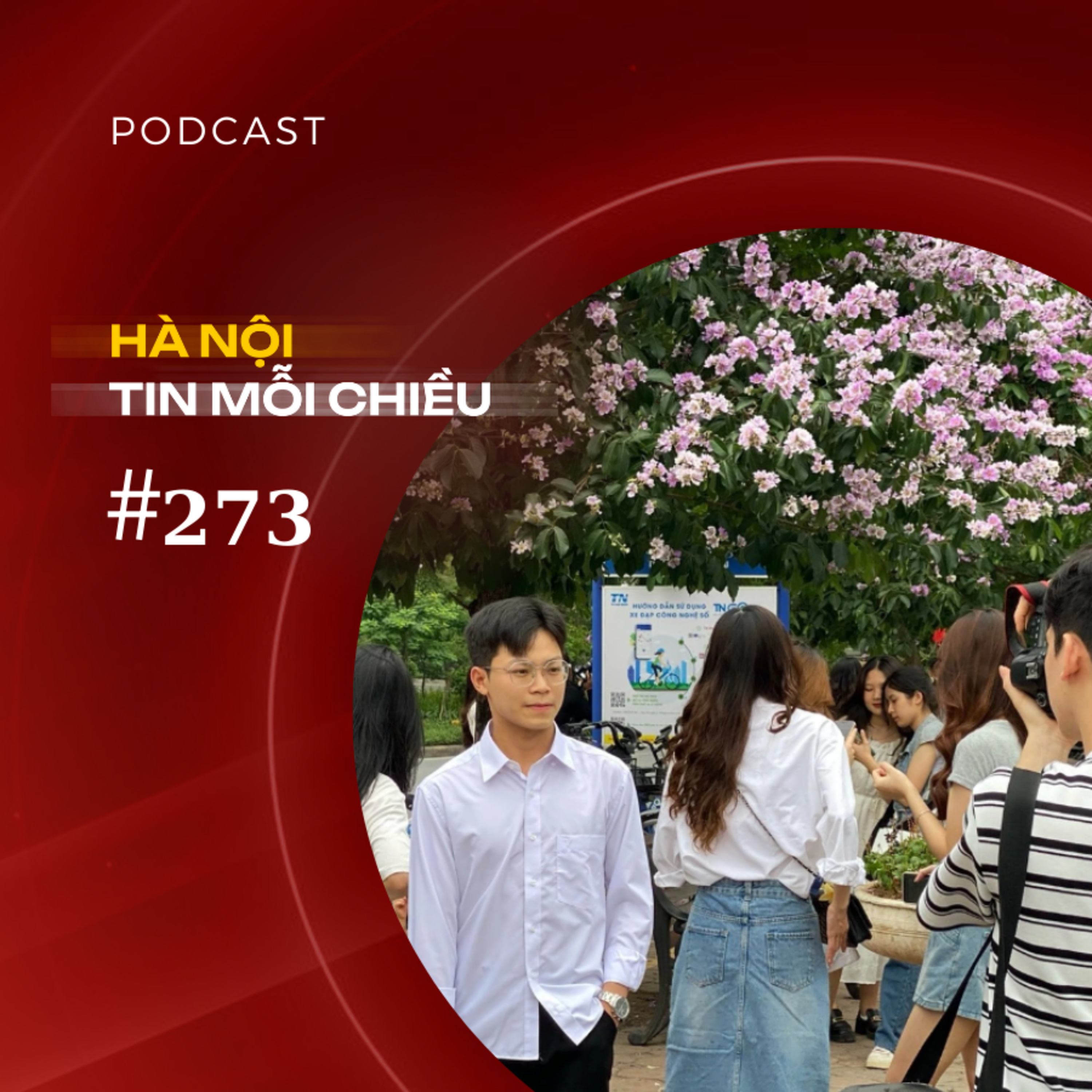 Người Hà Nội yêu hoa bằng lăng hơn vàng | Hà Nội tin mỗi chiều episode artwork