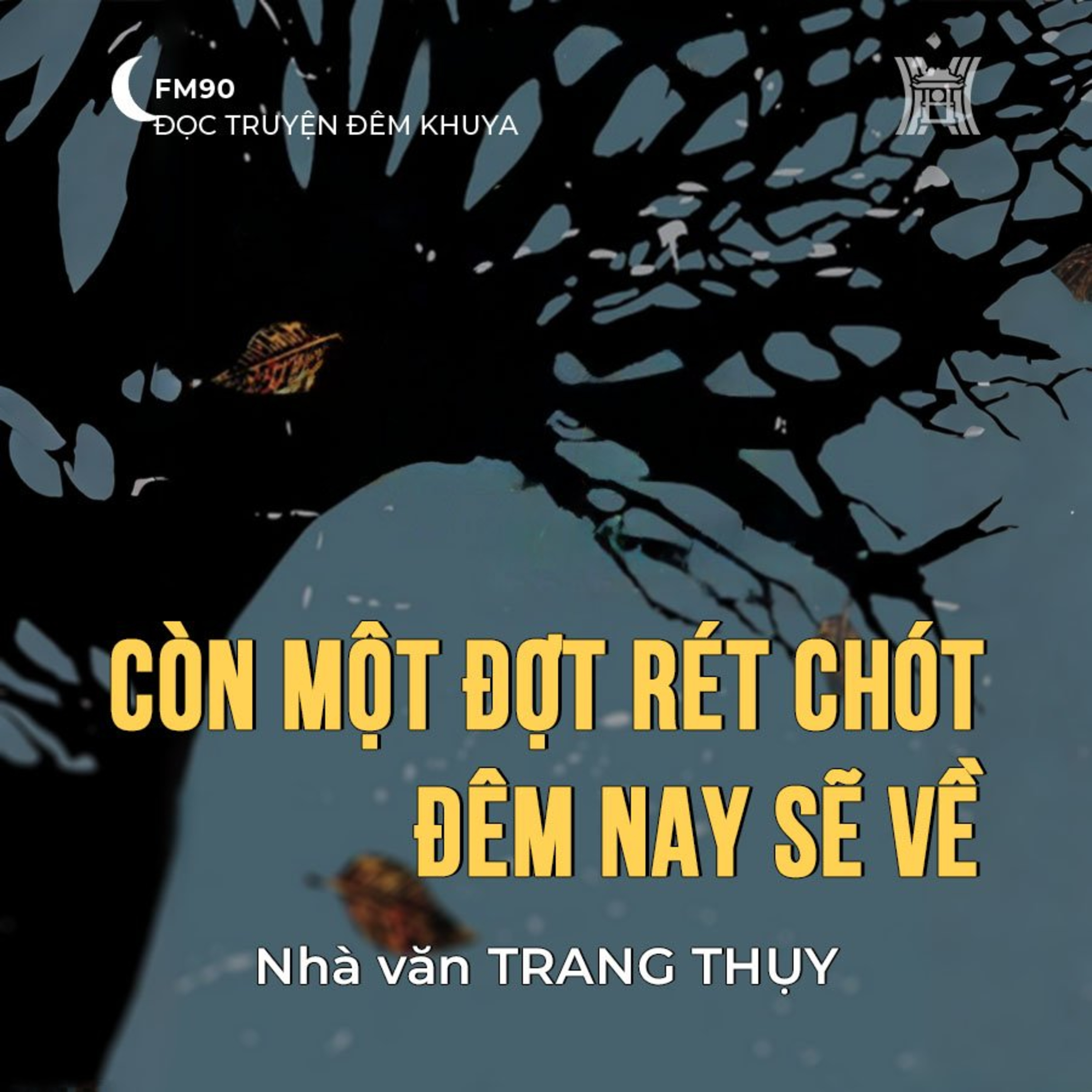 Truyện ngắn ‘Còn một đợt rét chót, đêm nay sẽ về’ - Trang Thụy episode artwork