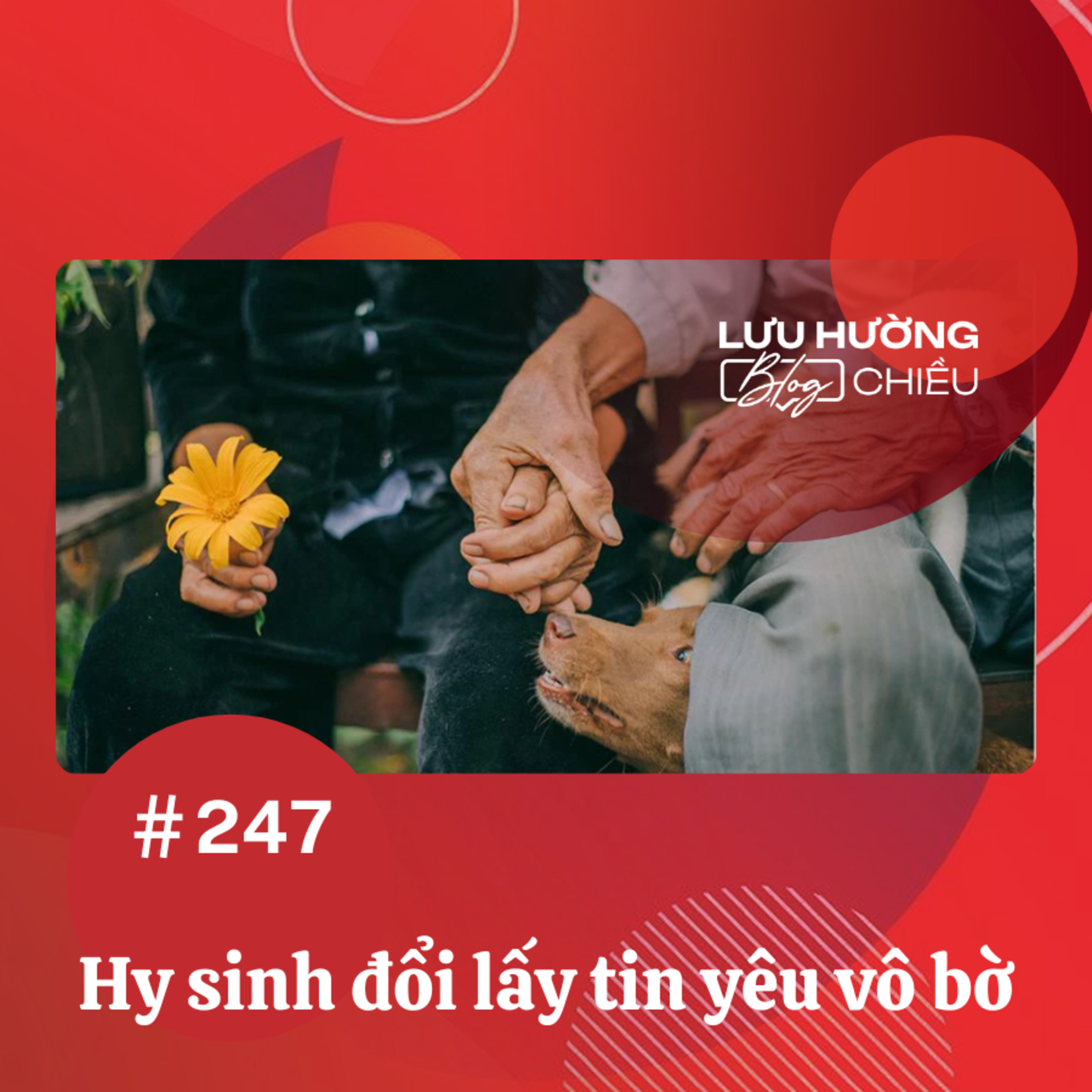Tiểu thuyết ‘Mùa lá rụng trong vườn’ (phần 17) - Ma Văn Kháng episode artwork