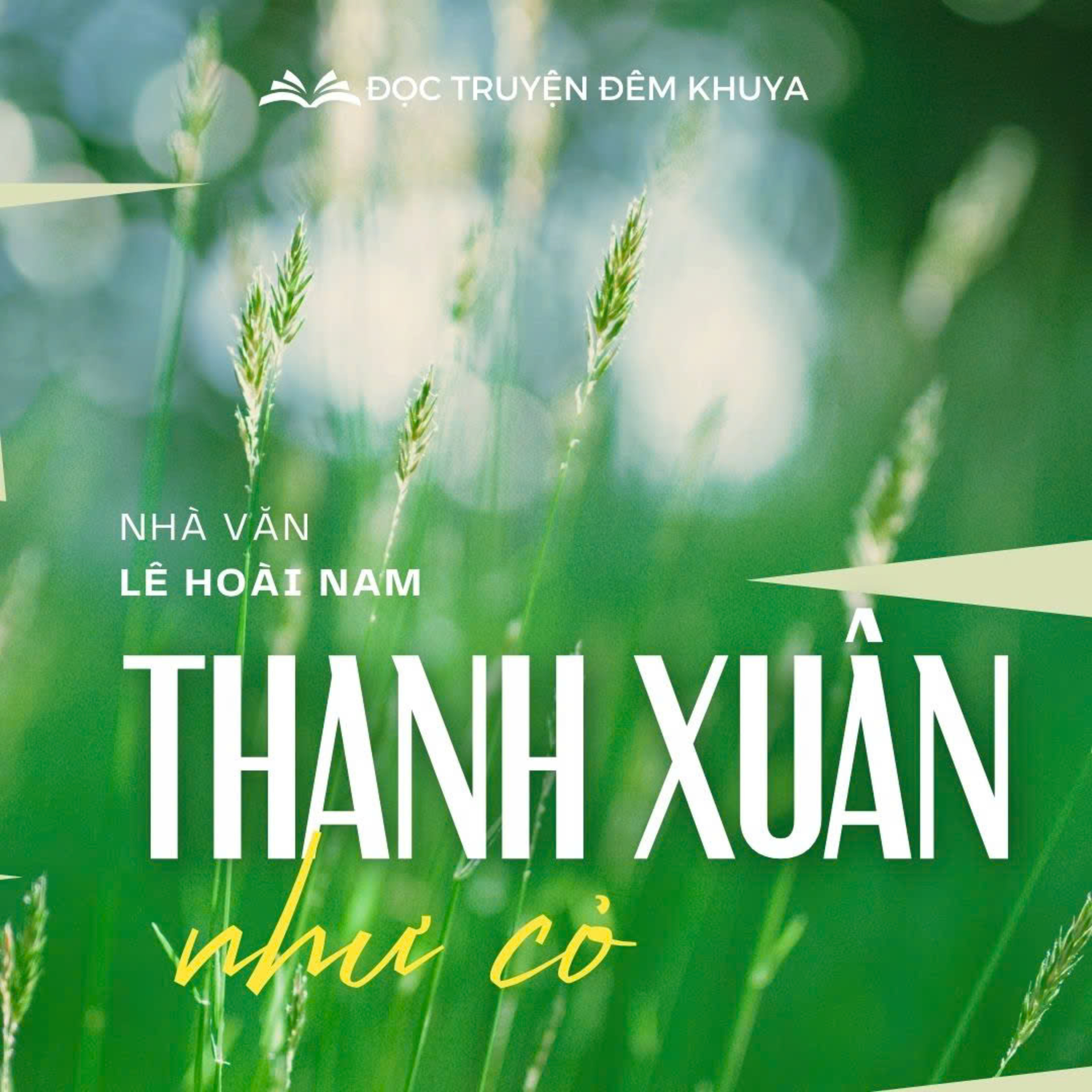Tiểu thuyết 'Thanh xuân như cỏ' (phần cuối) - Lê Hoài Nam