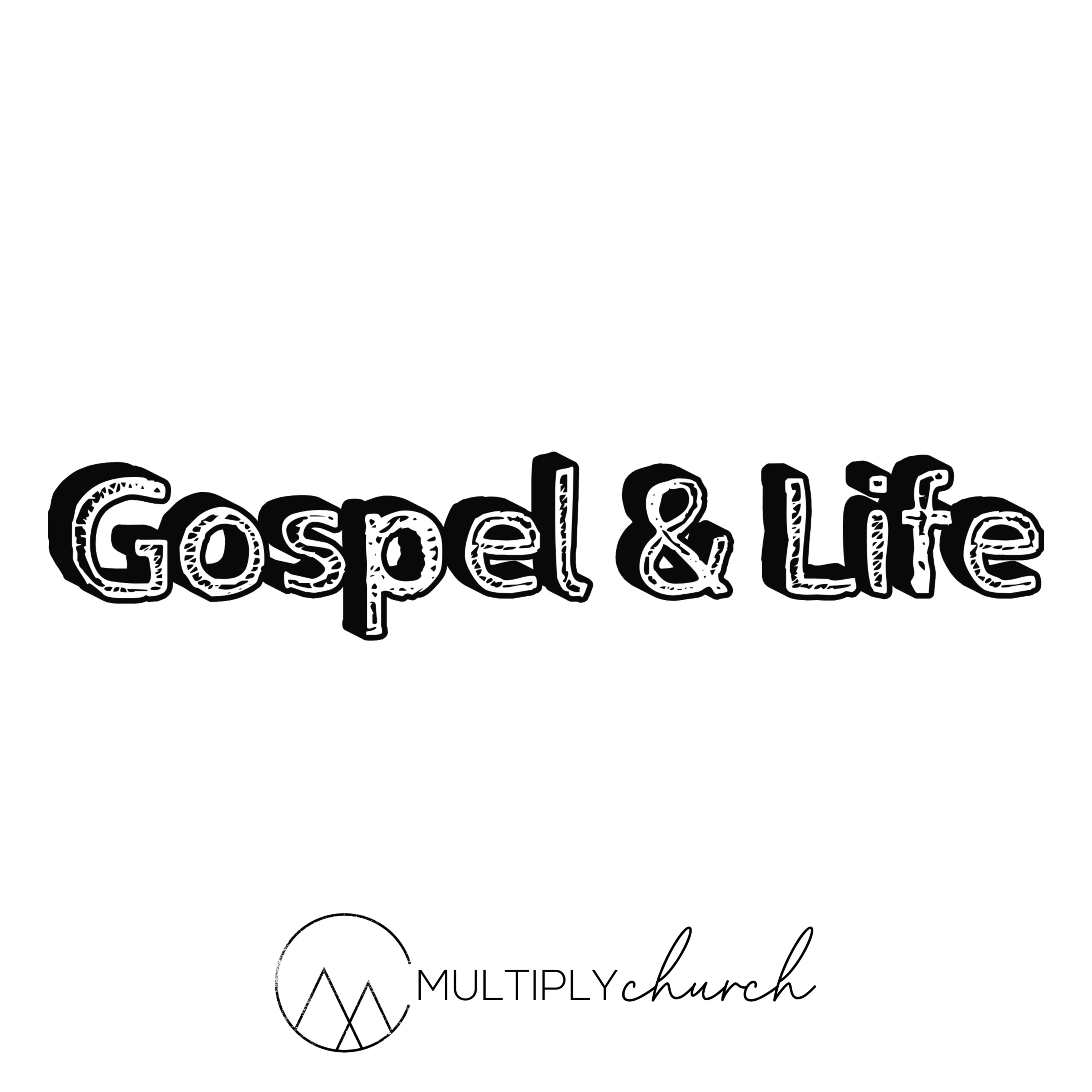 Gospel & Life | Gospel & Motherhood | John Baker episode artwork