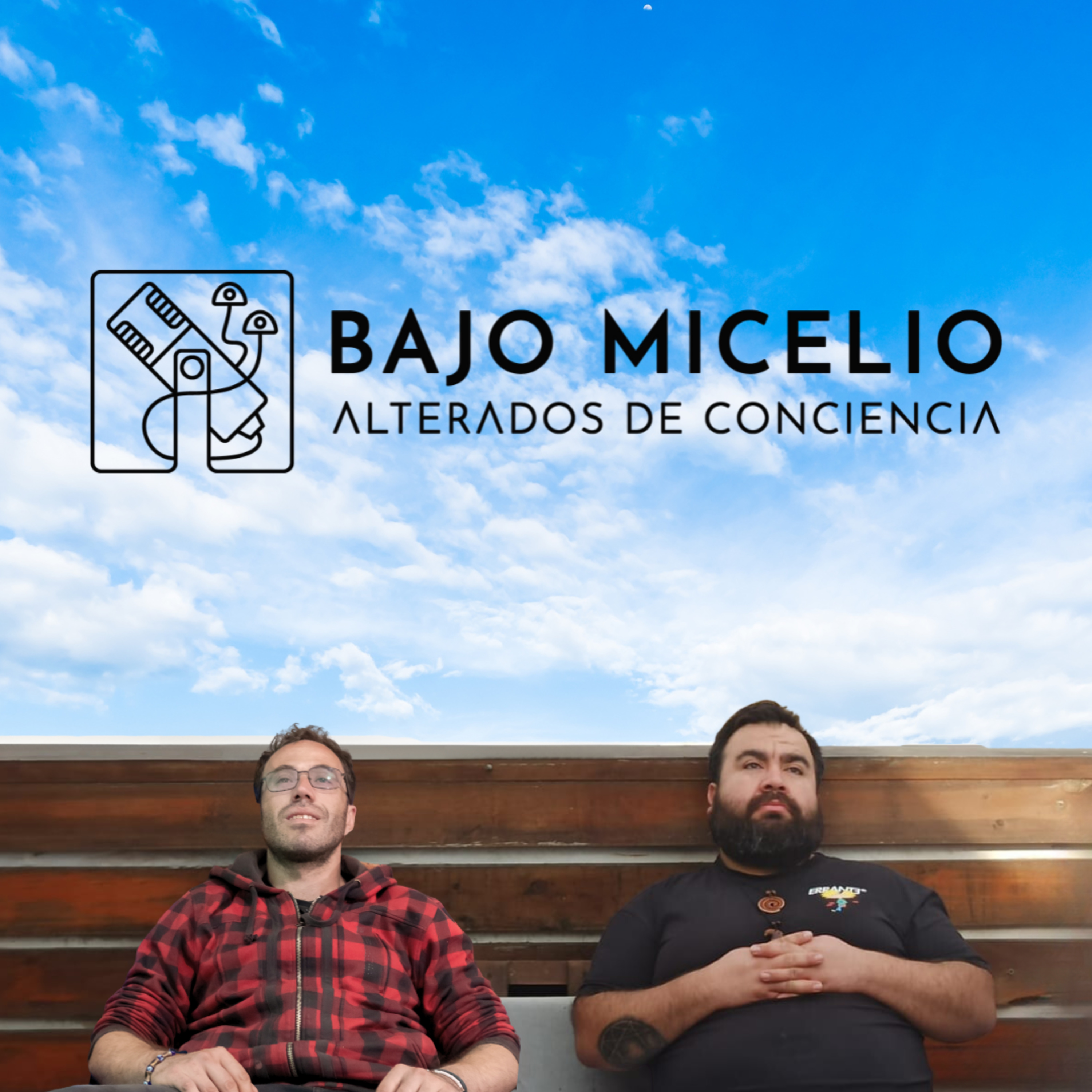 Bajo Micelio - "La dama roja" by Pablo Olivares episode artwork