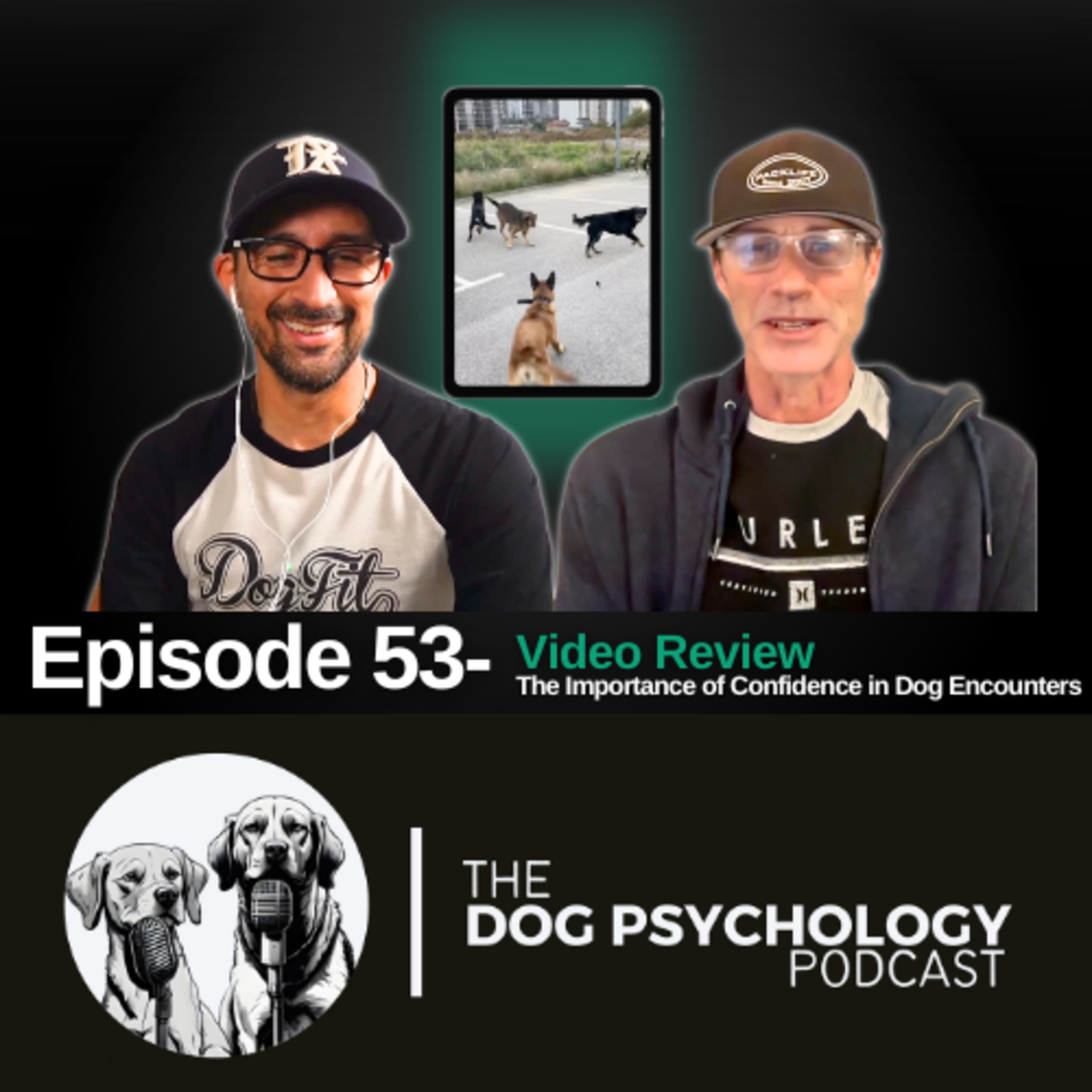 The Dog Psychology Podcast #053- The Importance of Confidence In Dog Encounters