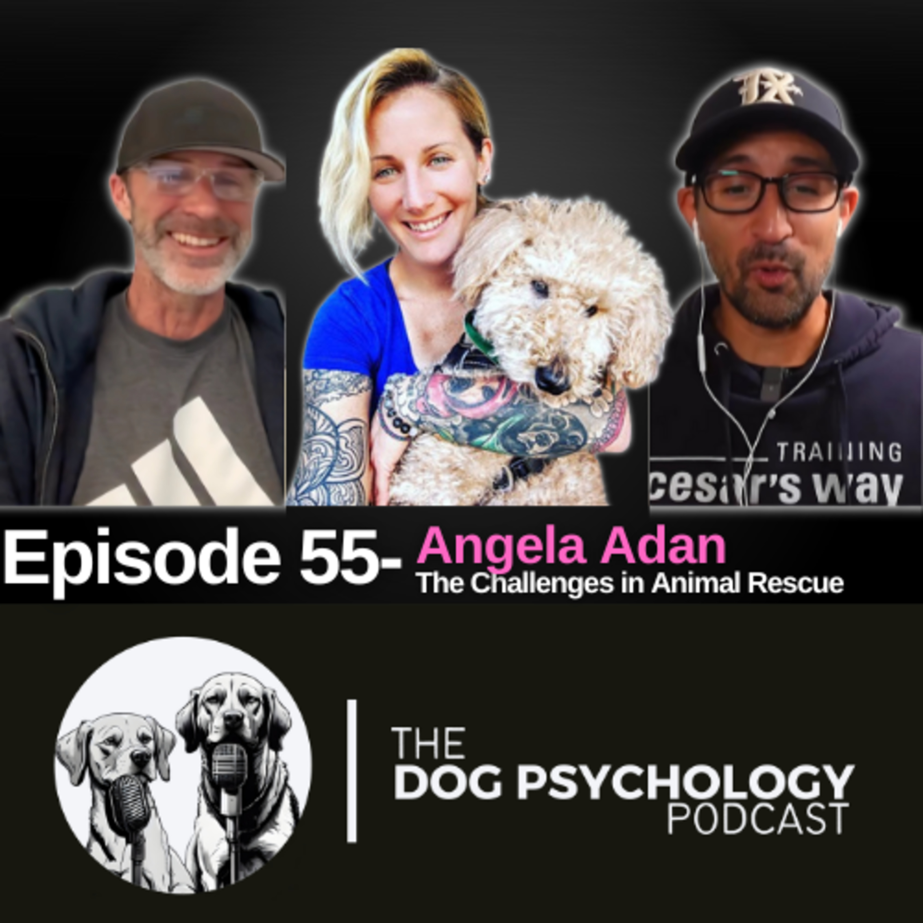 The Dog Psychology Podcast #055 Angela Adan Share the Challenges in Animal Rescue