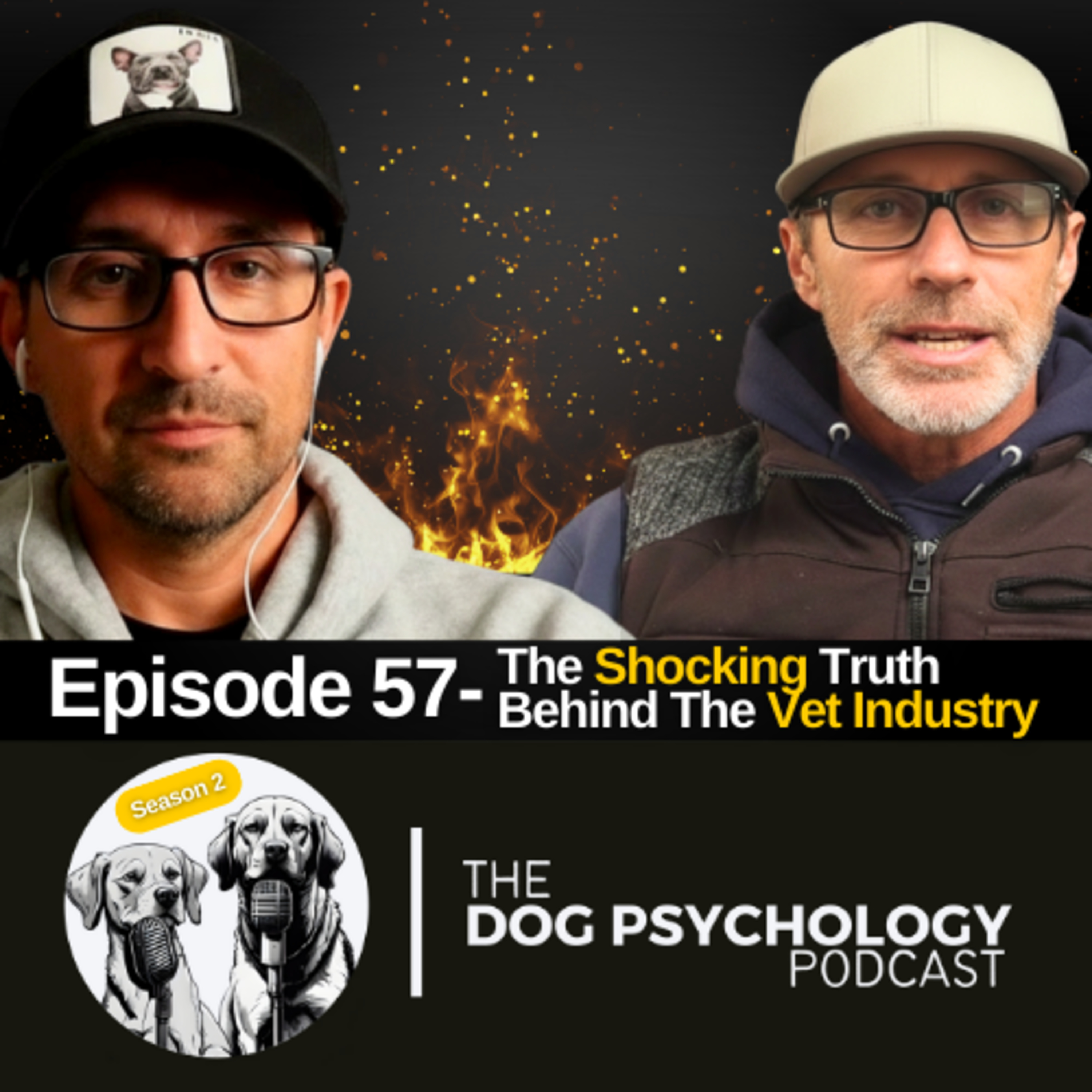 The Dog Psychology Podcast #057- The Shocking Truth Behind The Vet Industry