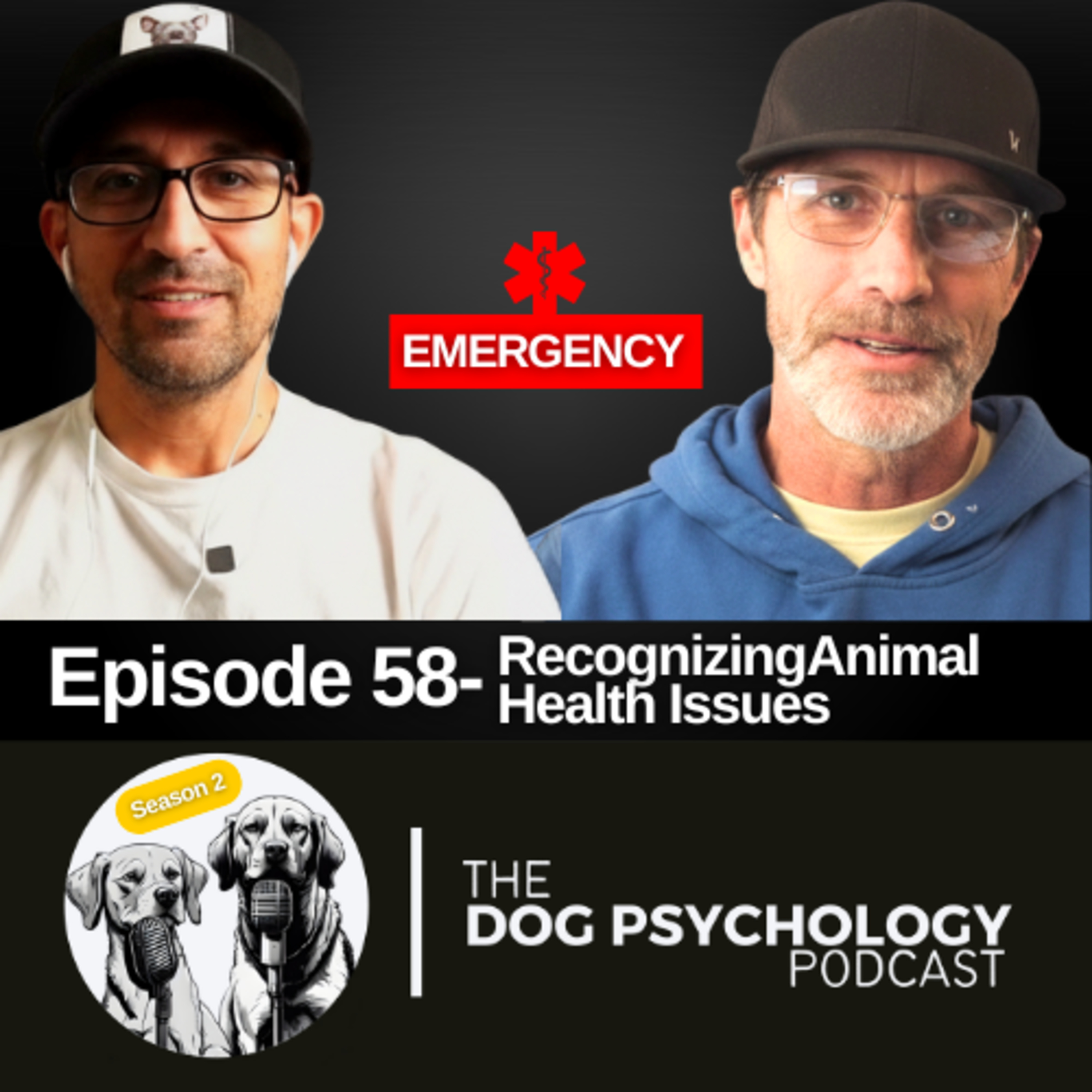 The Dog Psychology Podcast #058- Recognizing Animal Health Issues