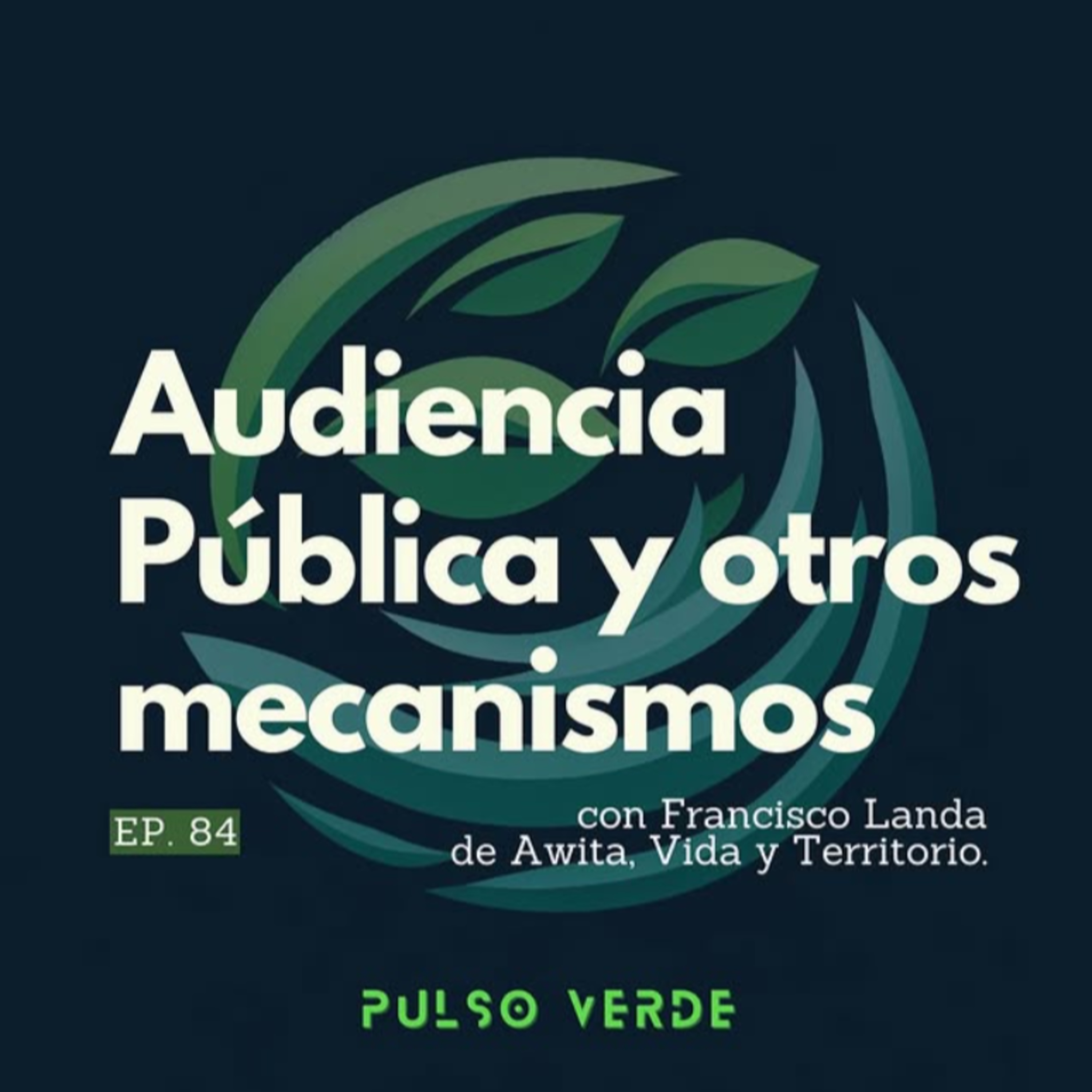84. Audiencia pública y otros mecanismos (con Francisco Landa) episode artwork