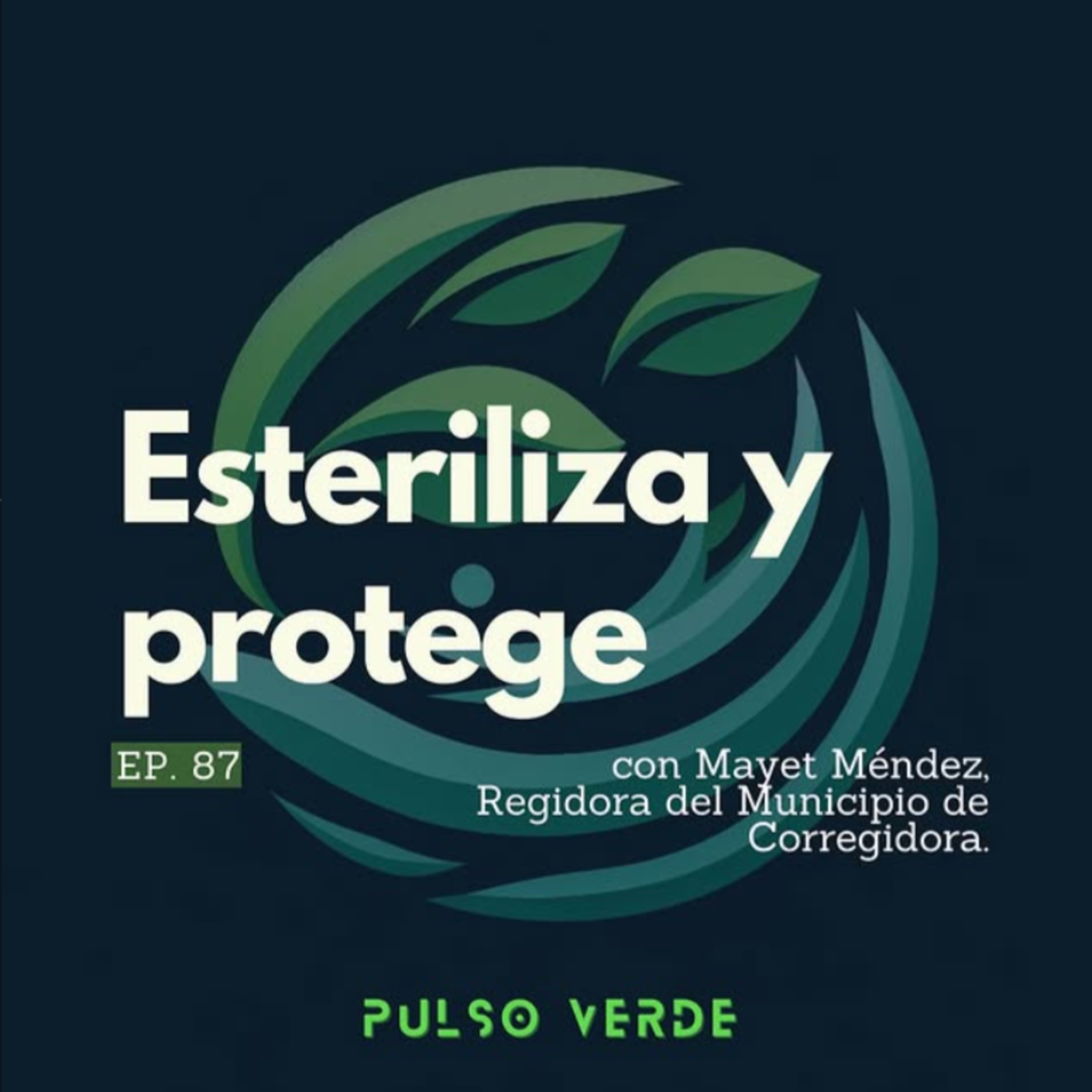 87. Esteriliza y protege (con Mayet Méndez) episode artwork