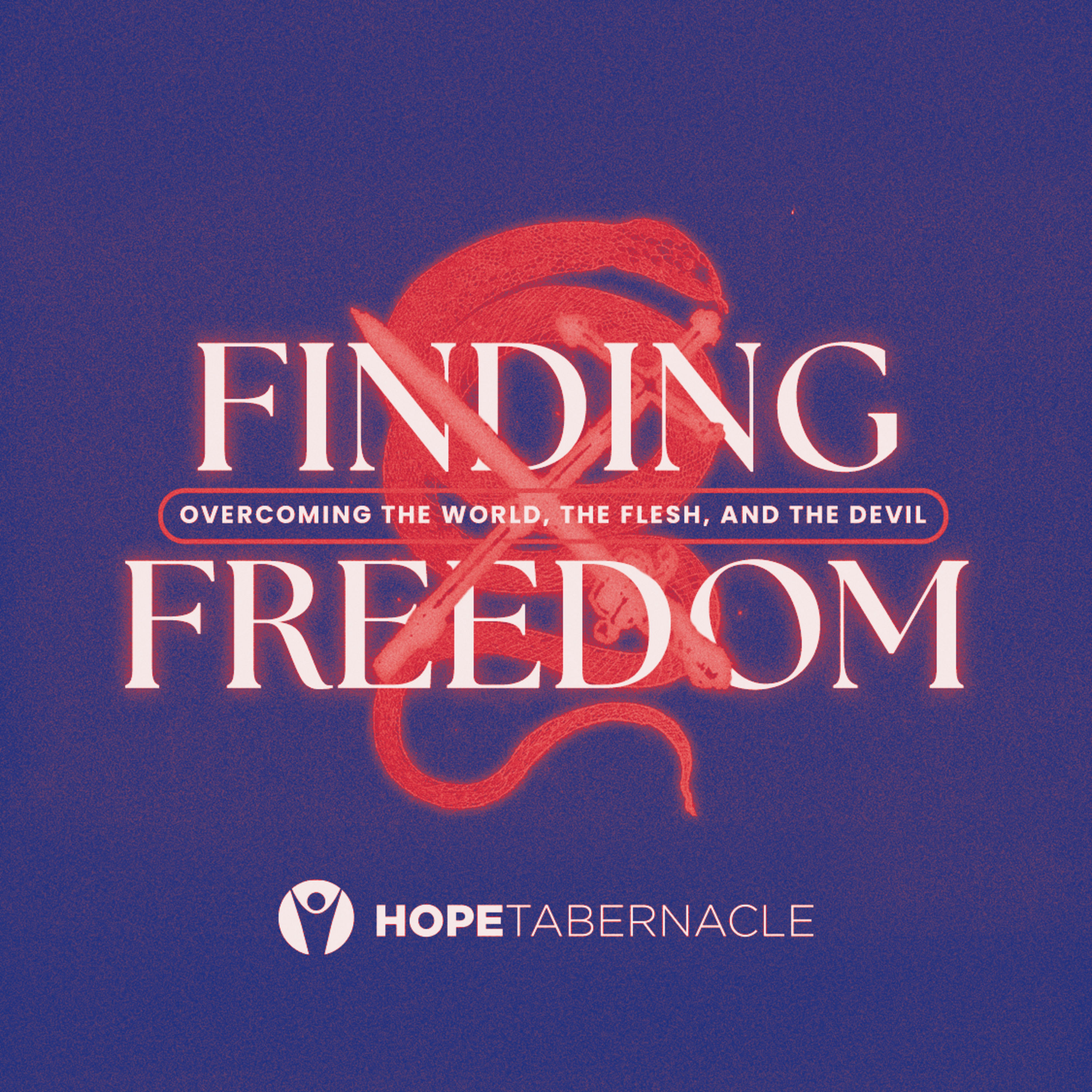 Finding Freedom - Week 2 (When the Enemy Attacks) episode artwork