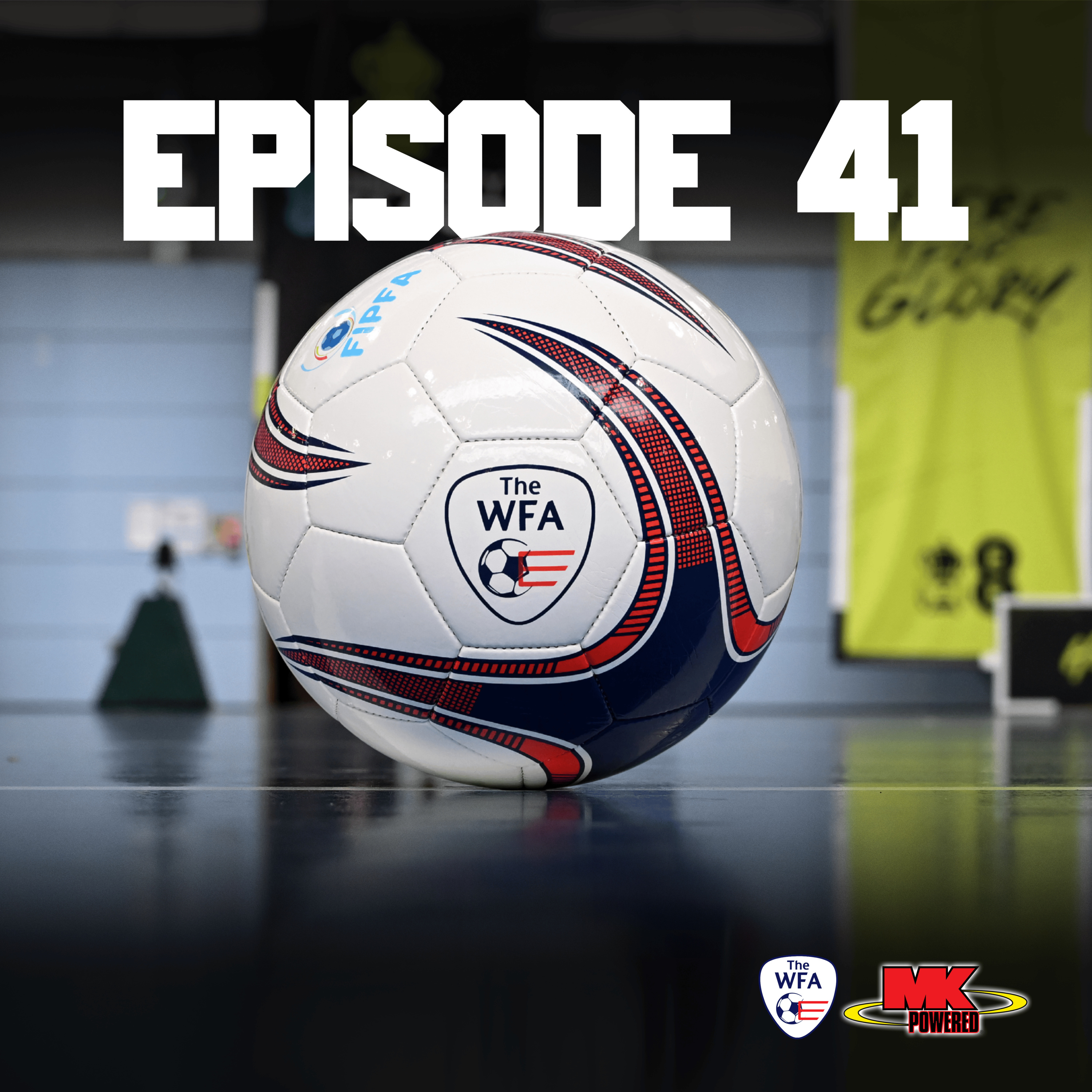 Episode 41 - Sporting Excellence Professional Apprenticeship episode artwork