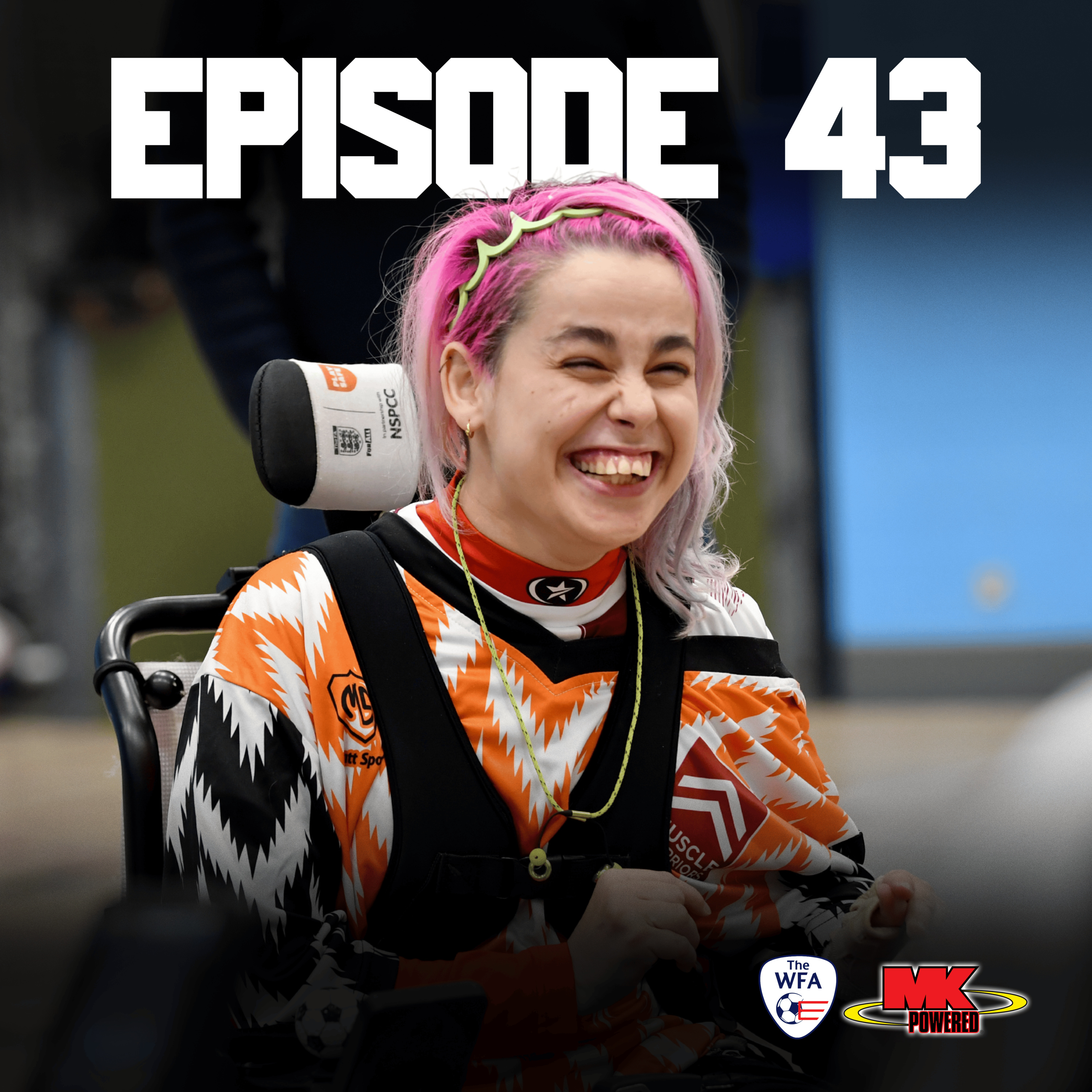 Episode 43 - Highlights of 2025 episode artwork