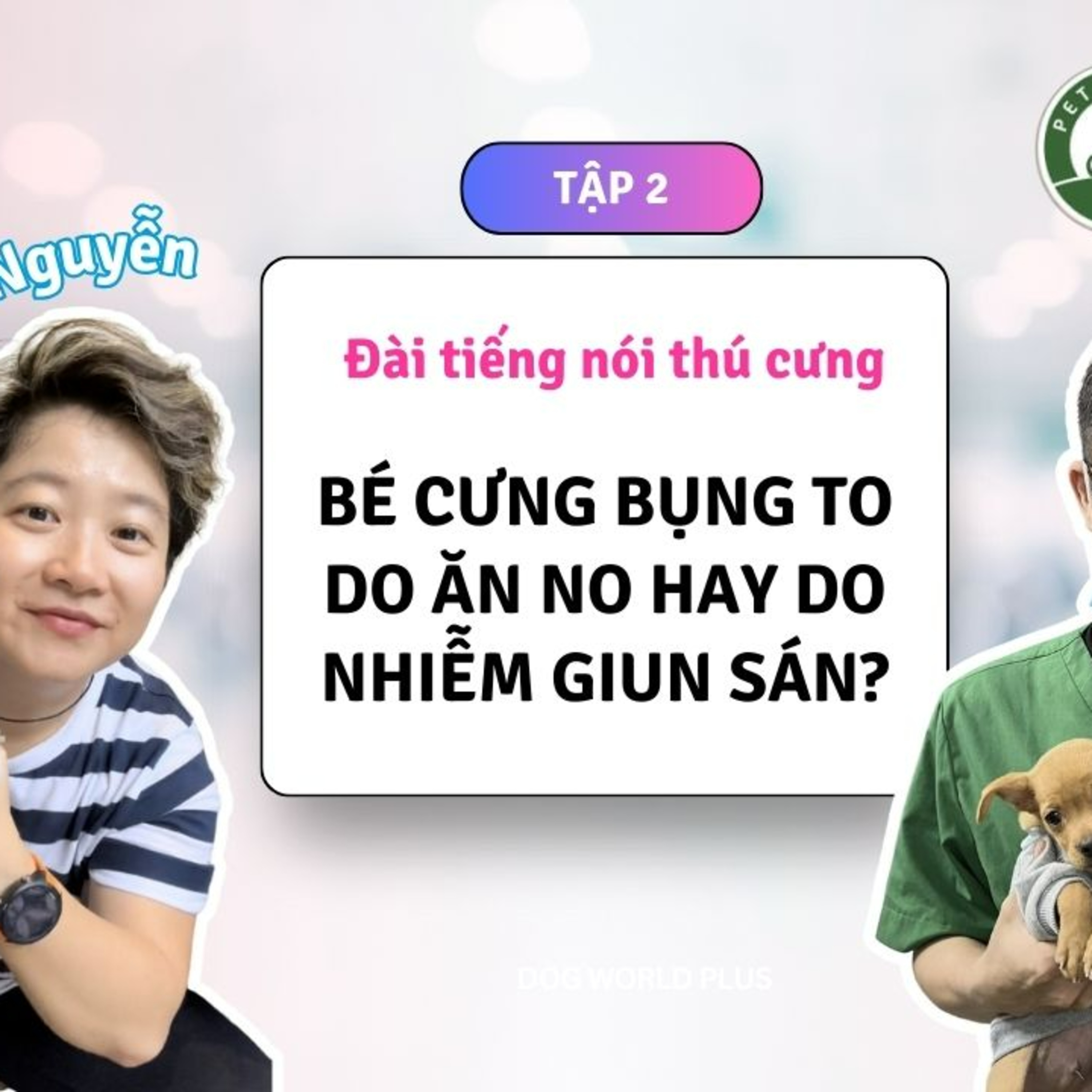 Dog World Plus | Đài tiếng nói thú cưng | The Pet Talkshow