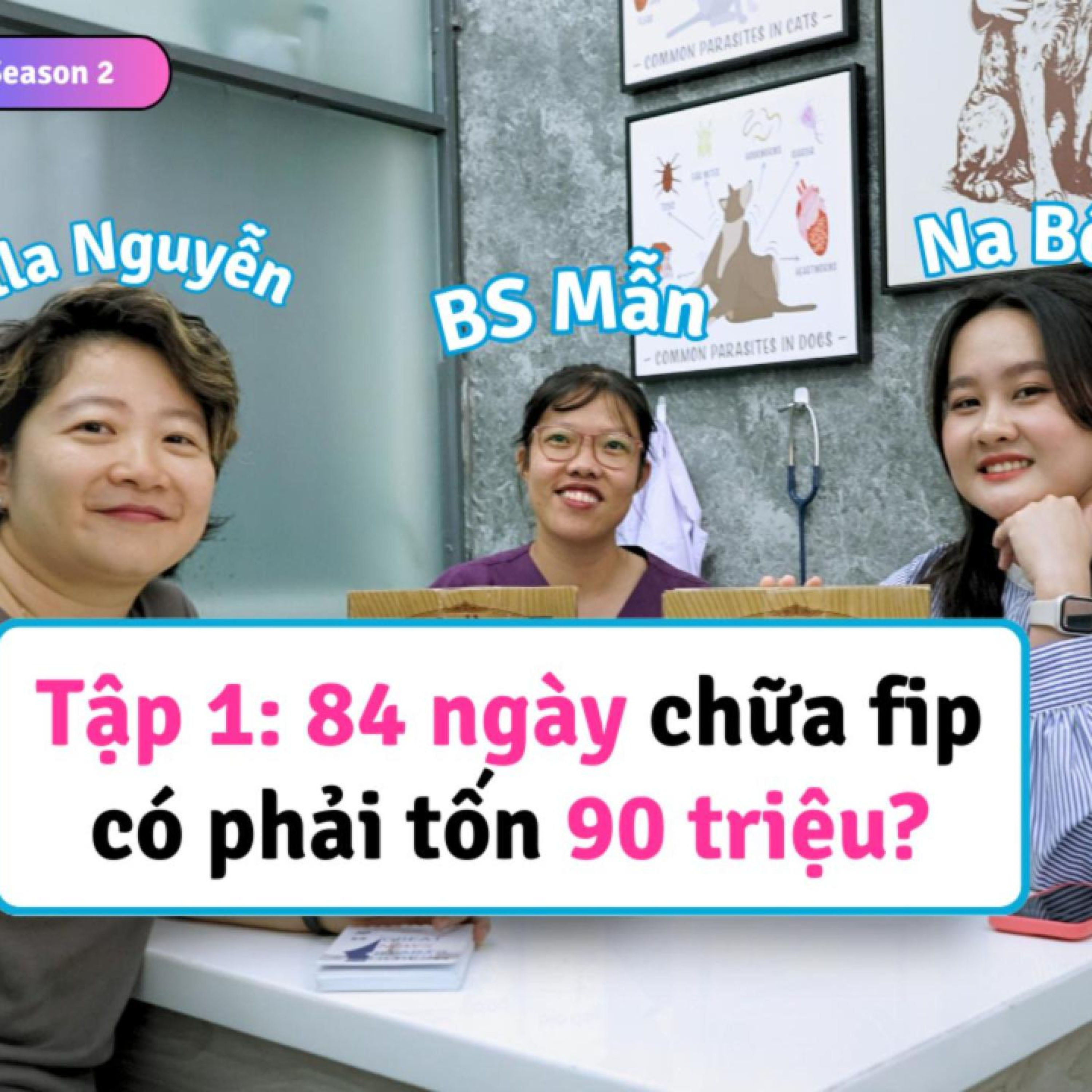 Ep 1 ss2 (Vid ver): 84 ngày chữa FIP cho mèo có phải tốn 90 triệu | Nhà cô Na và bác sĩ Mẫn Belwee episode artwork