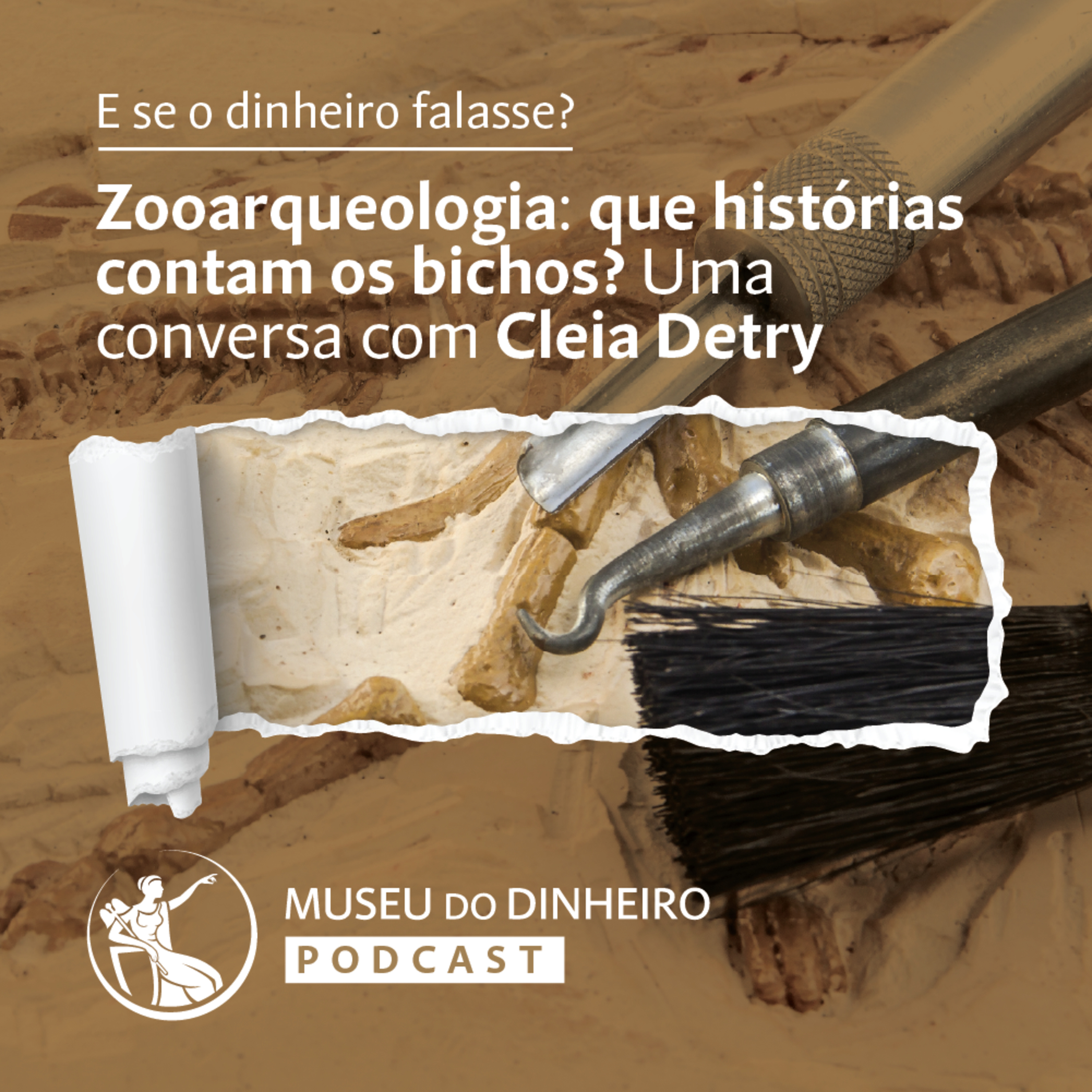 Zooarqueologia: que histórias contam os bichos? Uma conversa com Cleia Detry episode artwork