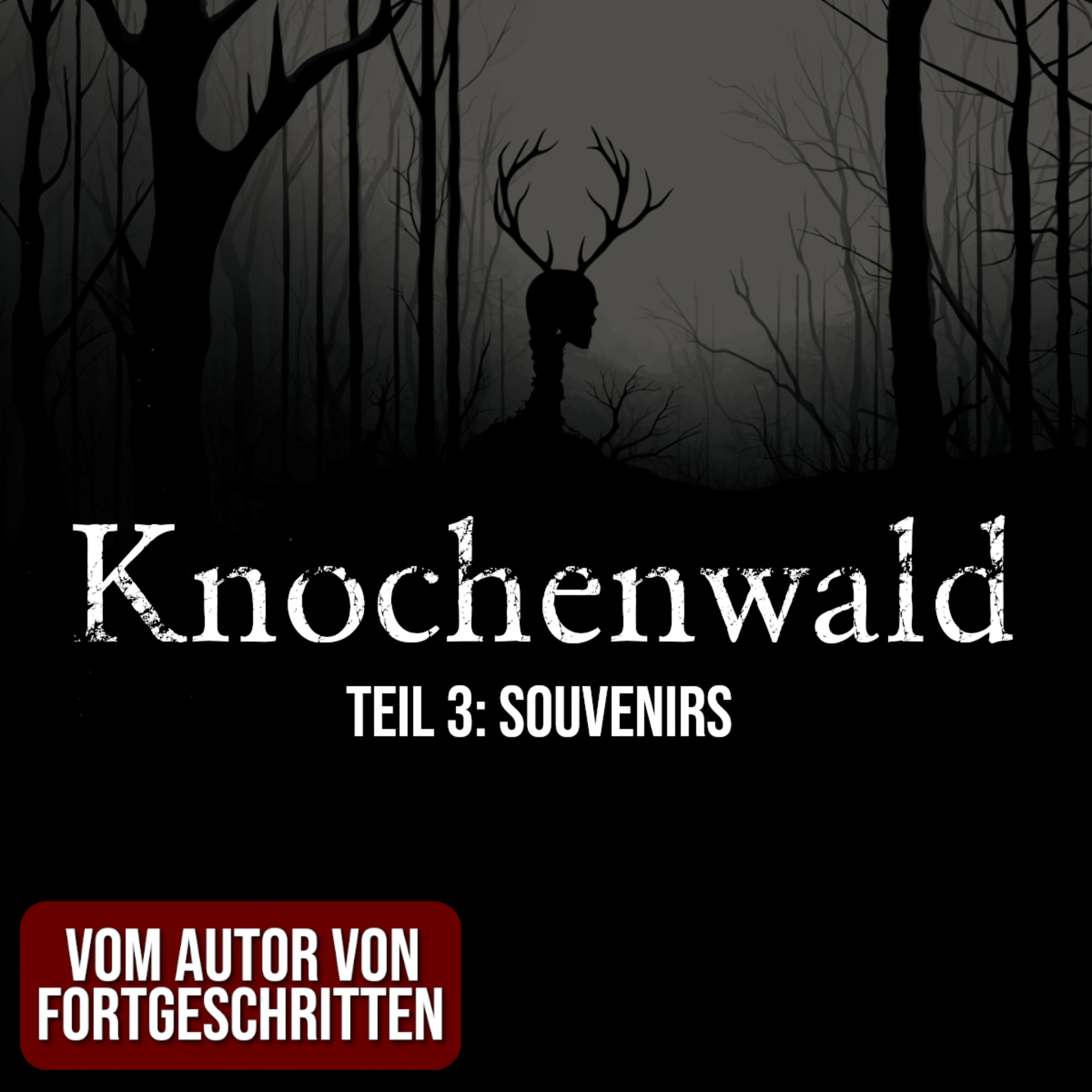 Knochenwald 03: Souvenirs | Horror Hörgeschichte zum Einschlafen | Hörbuch Horror | Creepypasta | Gruselgeschichte episode artwork