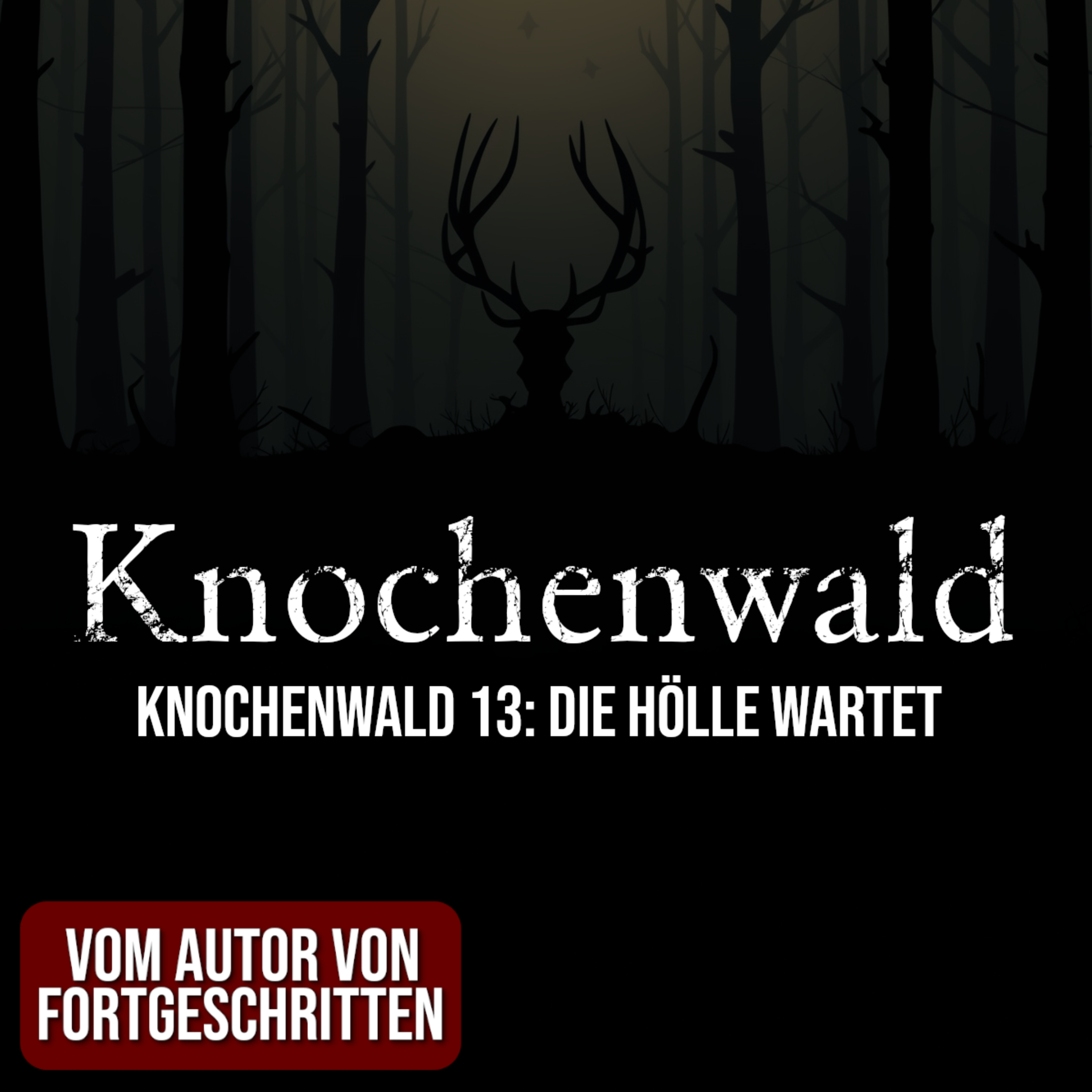 Knochenwald 13: Die Hölle wartet | Horror Hörgeschichte zum Einschlafen | Hörbuch Horror | Creepypasta | Gruselgeschichte episode artwork