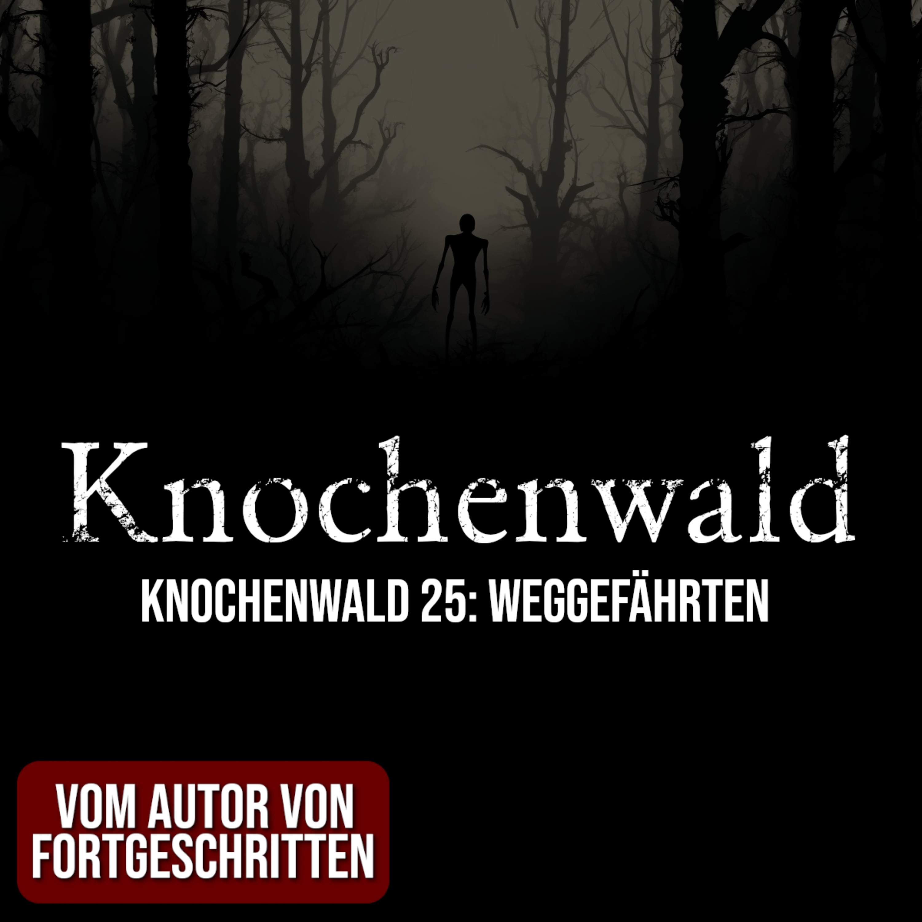 Knochenwald 25: Weggefährten | Horror Hörgeschichte zum Einschlafen | Hörbuch Horror | Creepypasta | Gruselgeschichte episode artwork