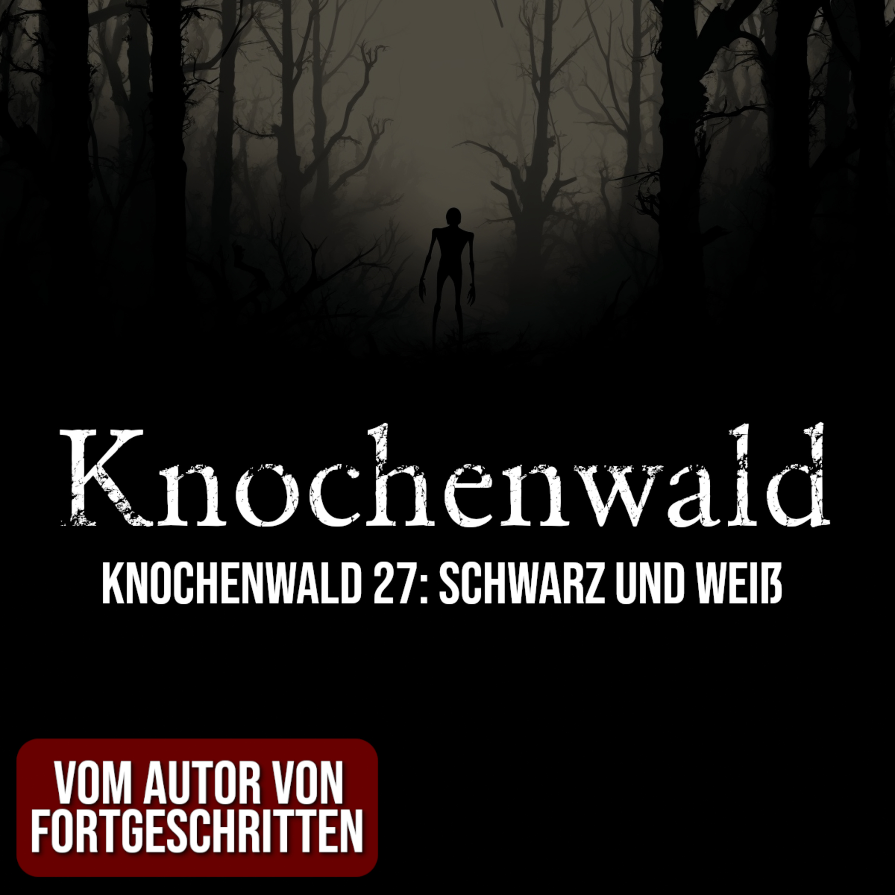 Knochenwald 27: Schwarz und Weiß | Horror Hörgeschichte zum Einschlafen | Hörbuch Horror | Creepypasta | Gruselgeschichte episode artwork