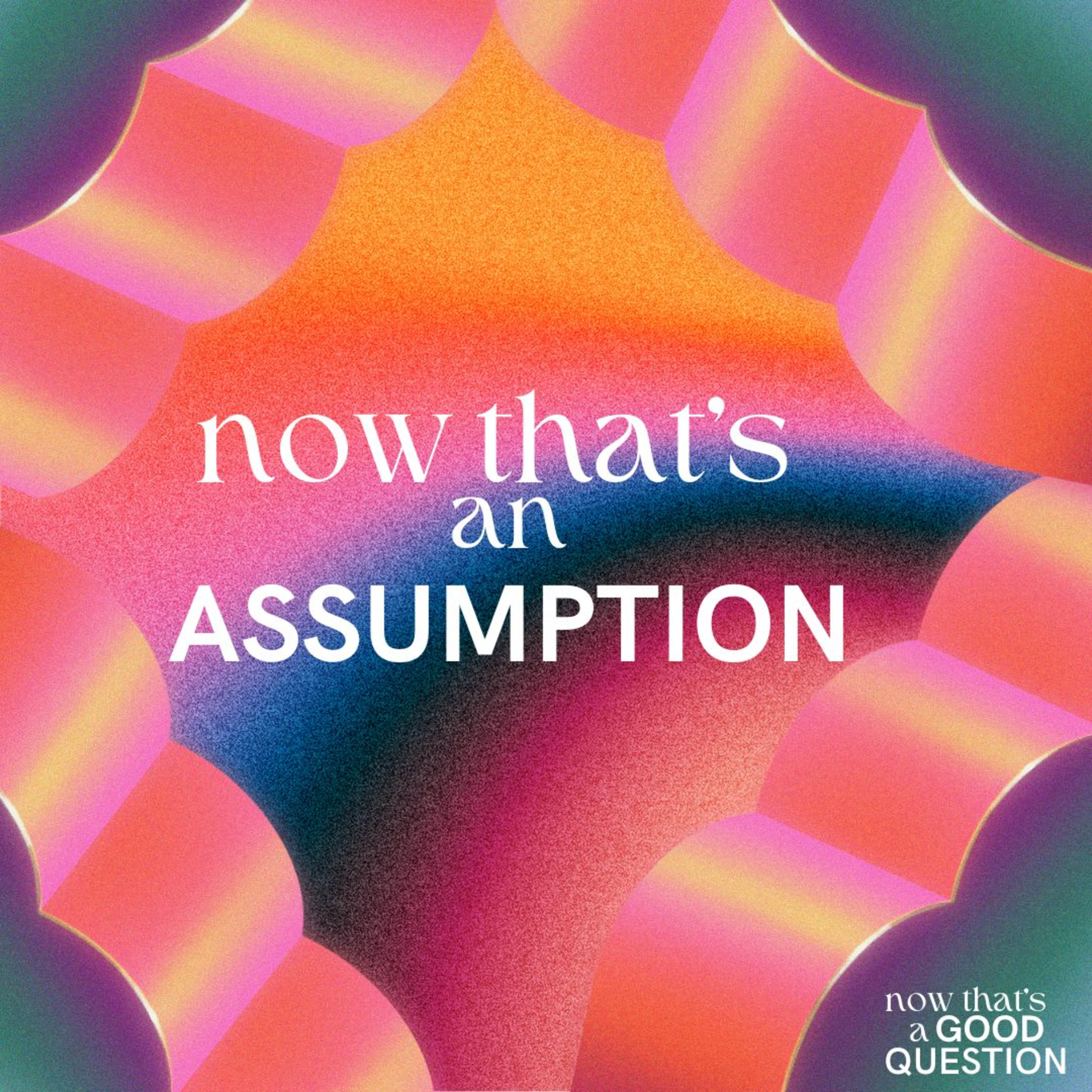 Episode 15: Now That's an Assumption episode artwork