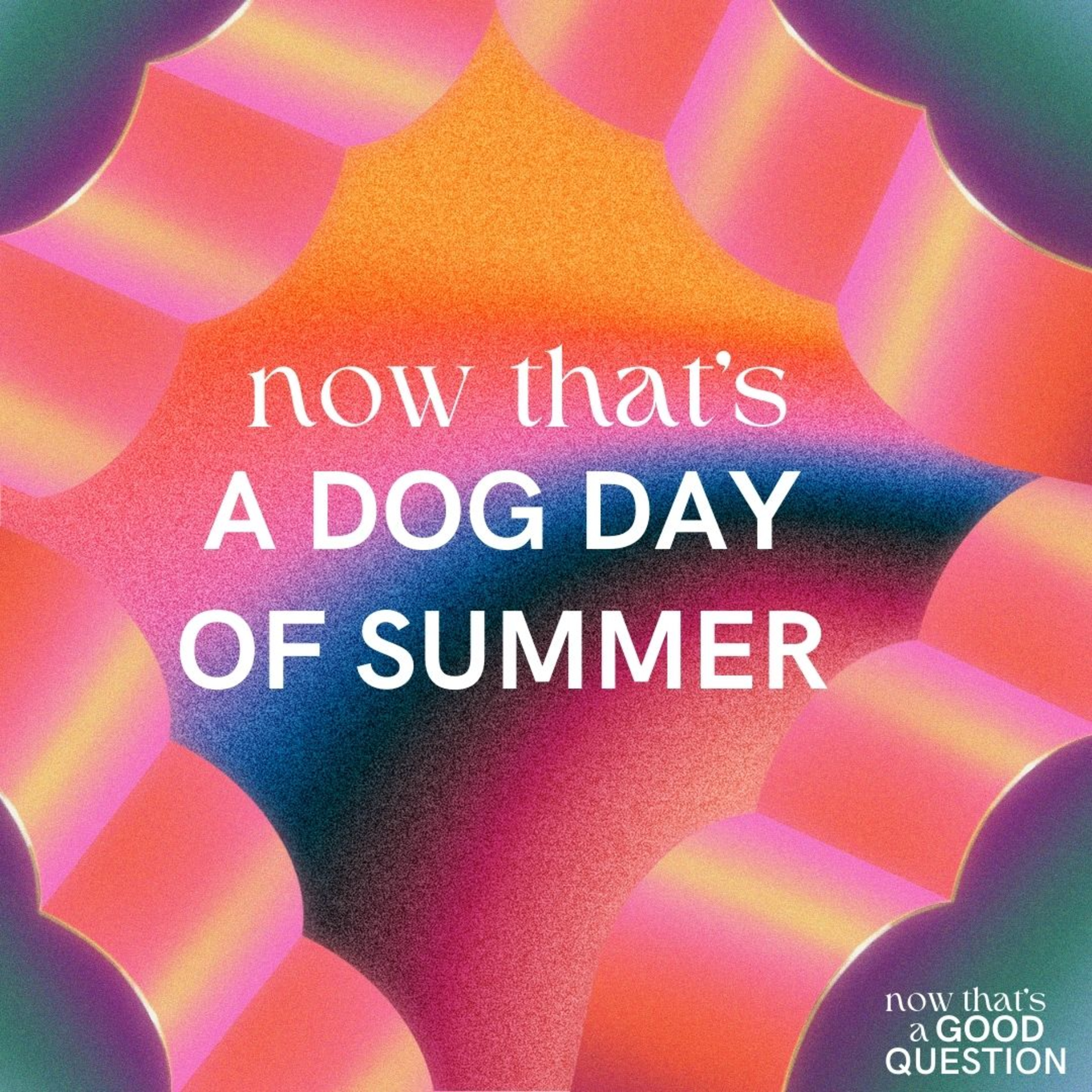 Episode 39: Now That’s A Dog Day of Summer episode artwork