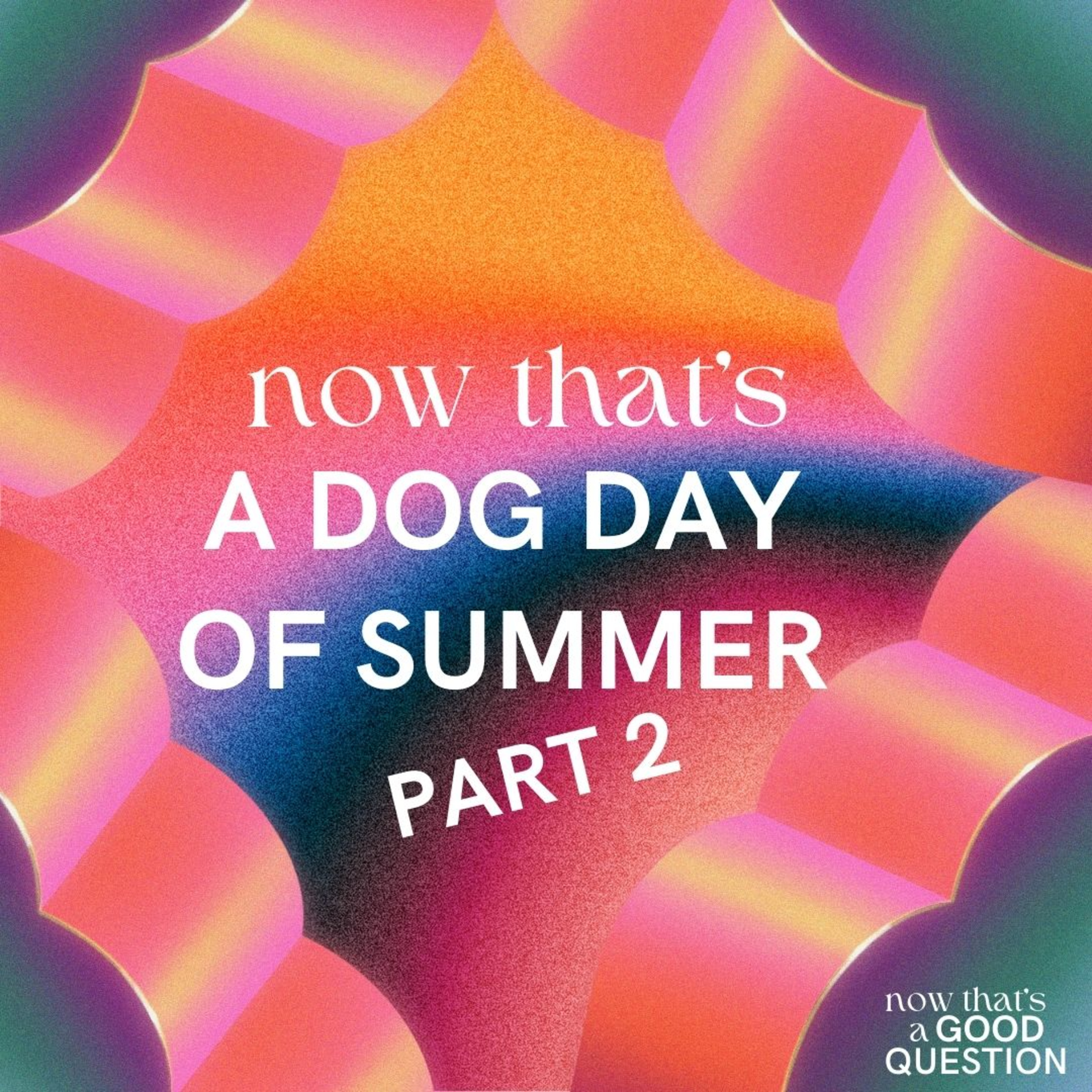 Episode 40: Now That’s A Dog Day of Summer pt.2 episode artwork