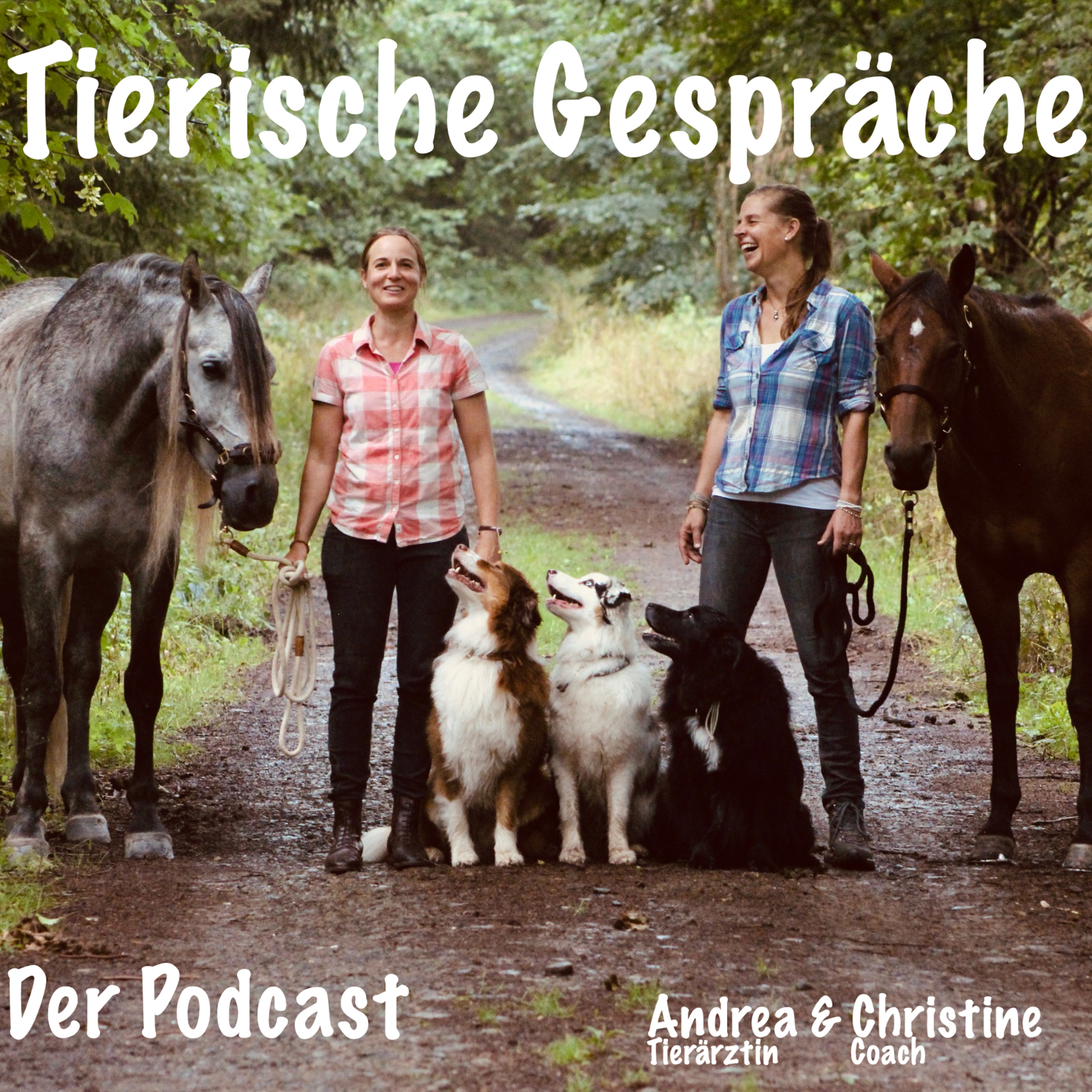 Tierische Gespräche