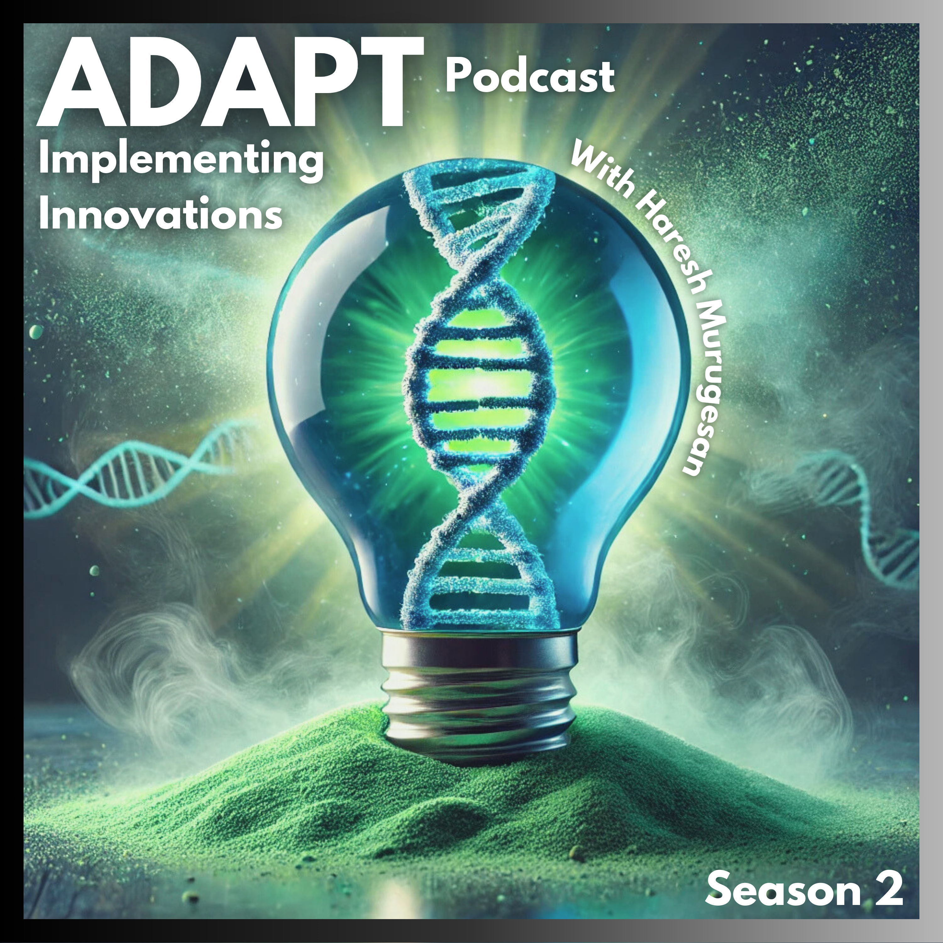 Adapt: Implementing Innovations