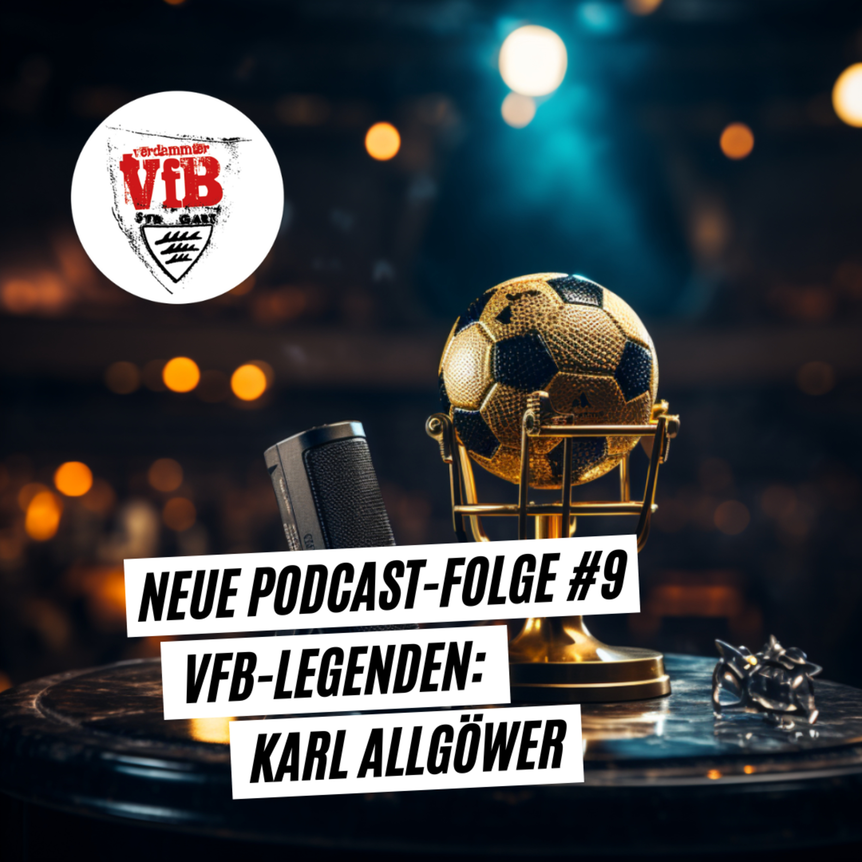 Verdammter VfB