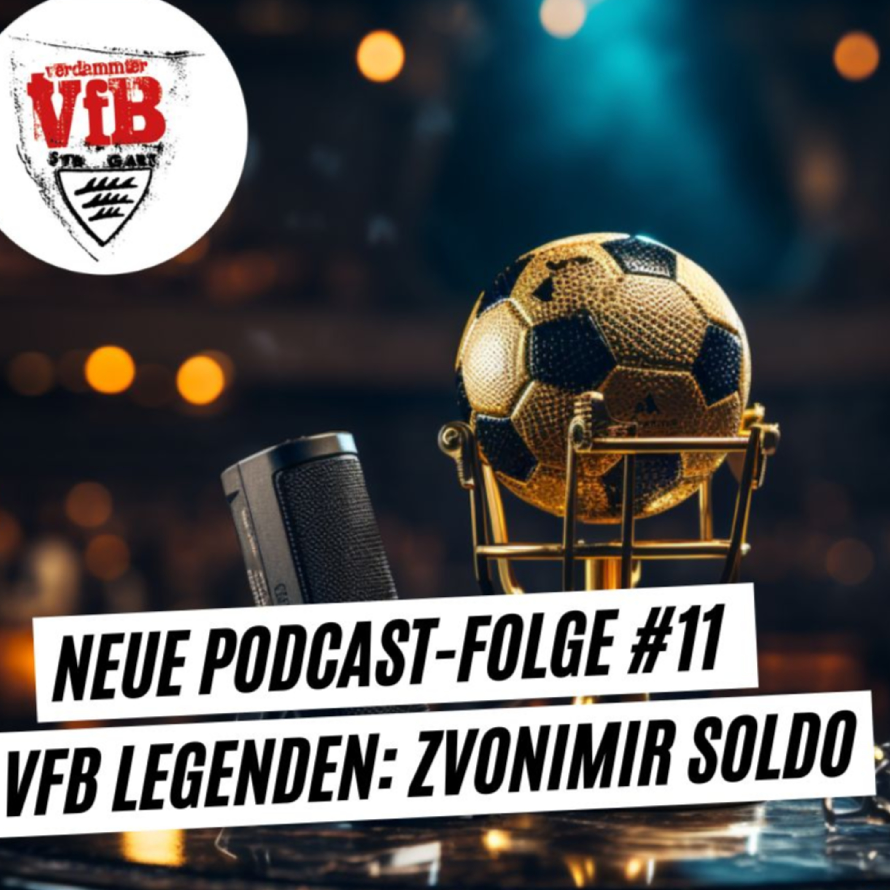 Verdammter VfB