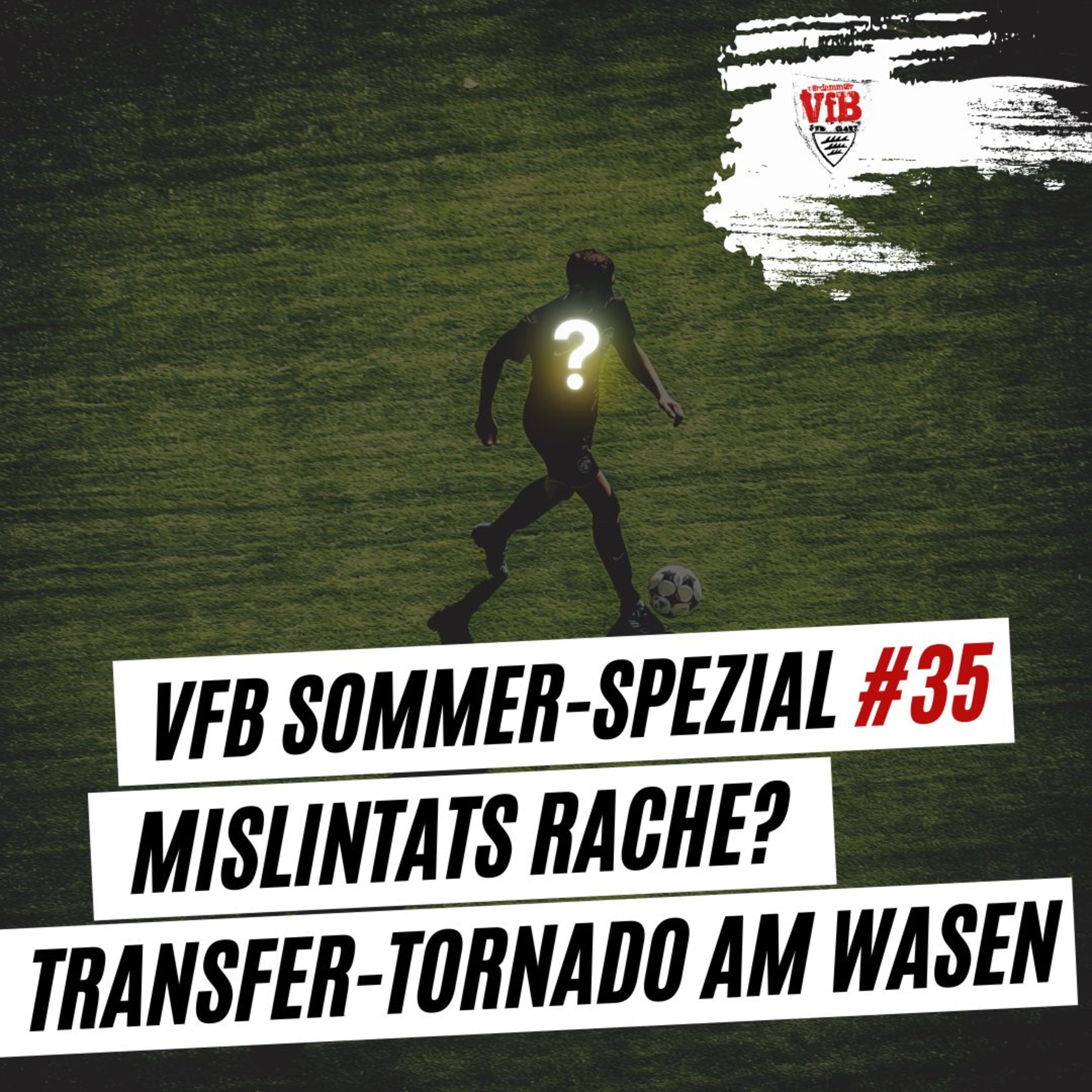 Verdammter VfB