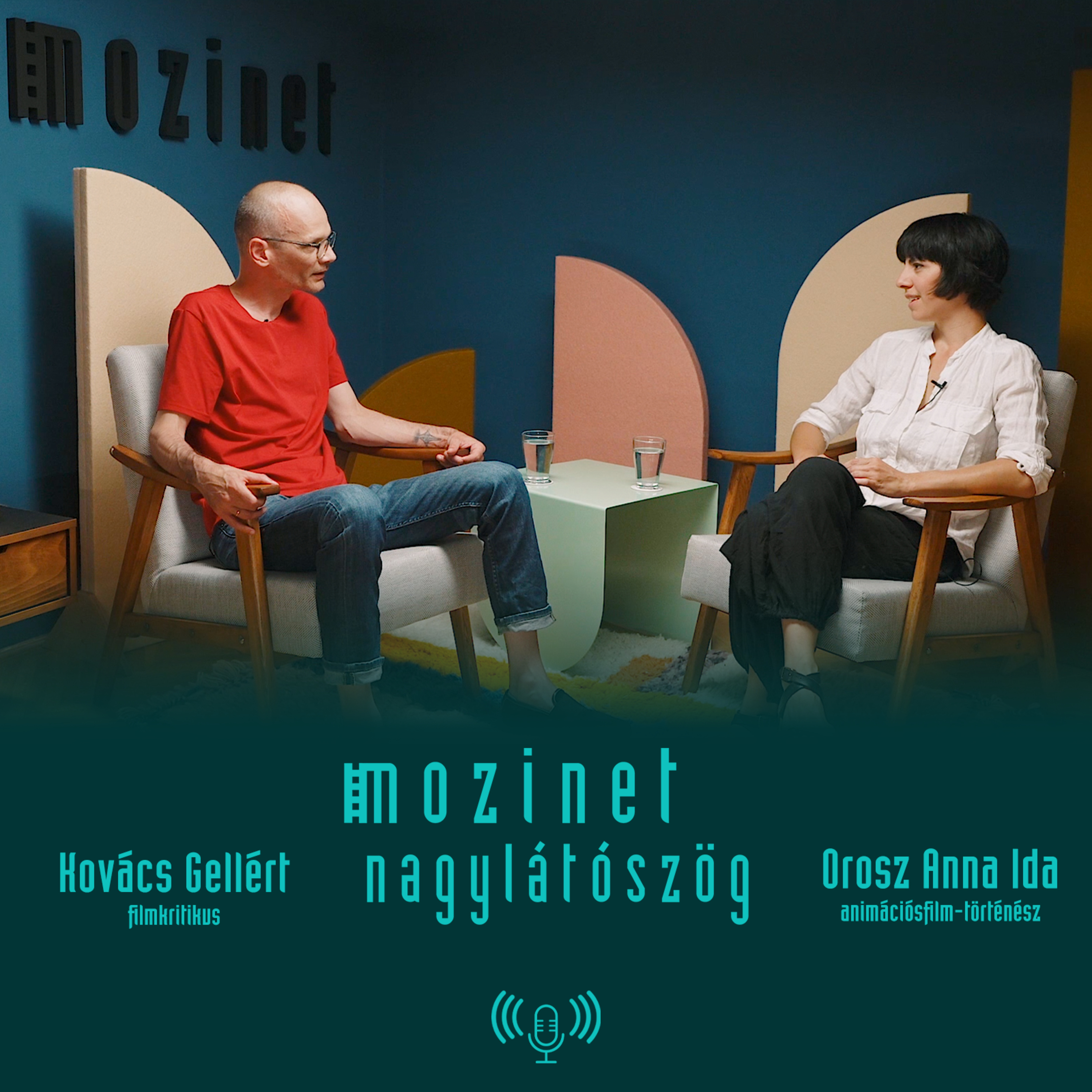 Mozinet Nagylátószög